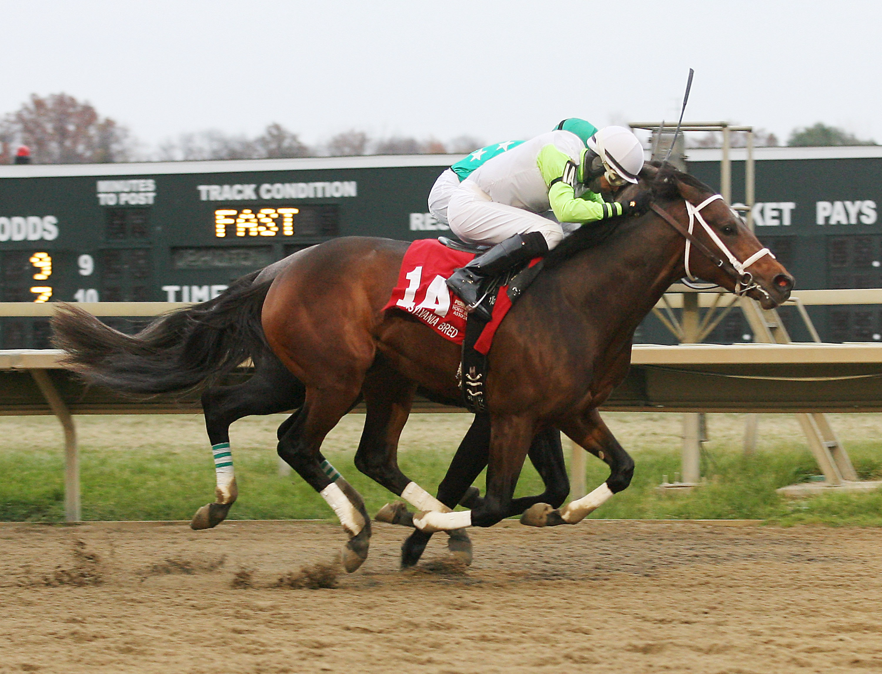 Duff wins the Christopher Elser Memorial