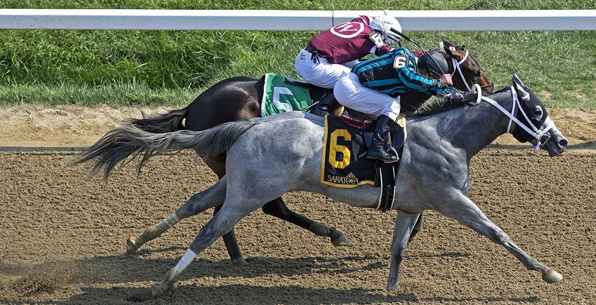 Dugout wins the 2018 Funny Cide Stakes