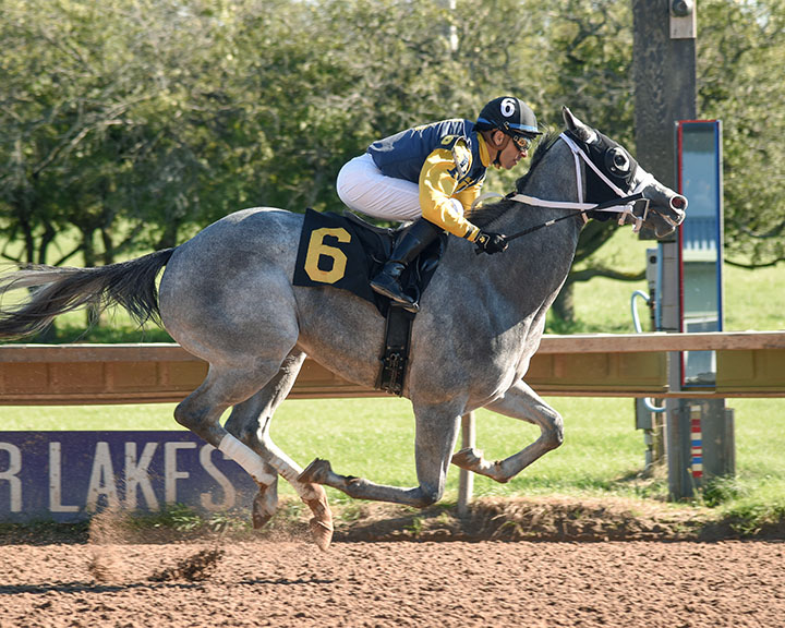 Dugout wins the 2018 New York Breeders Futurity Stakes