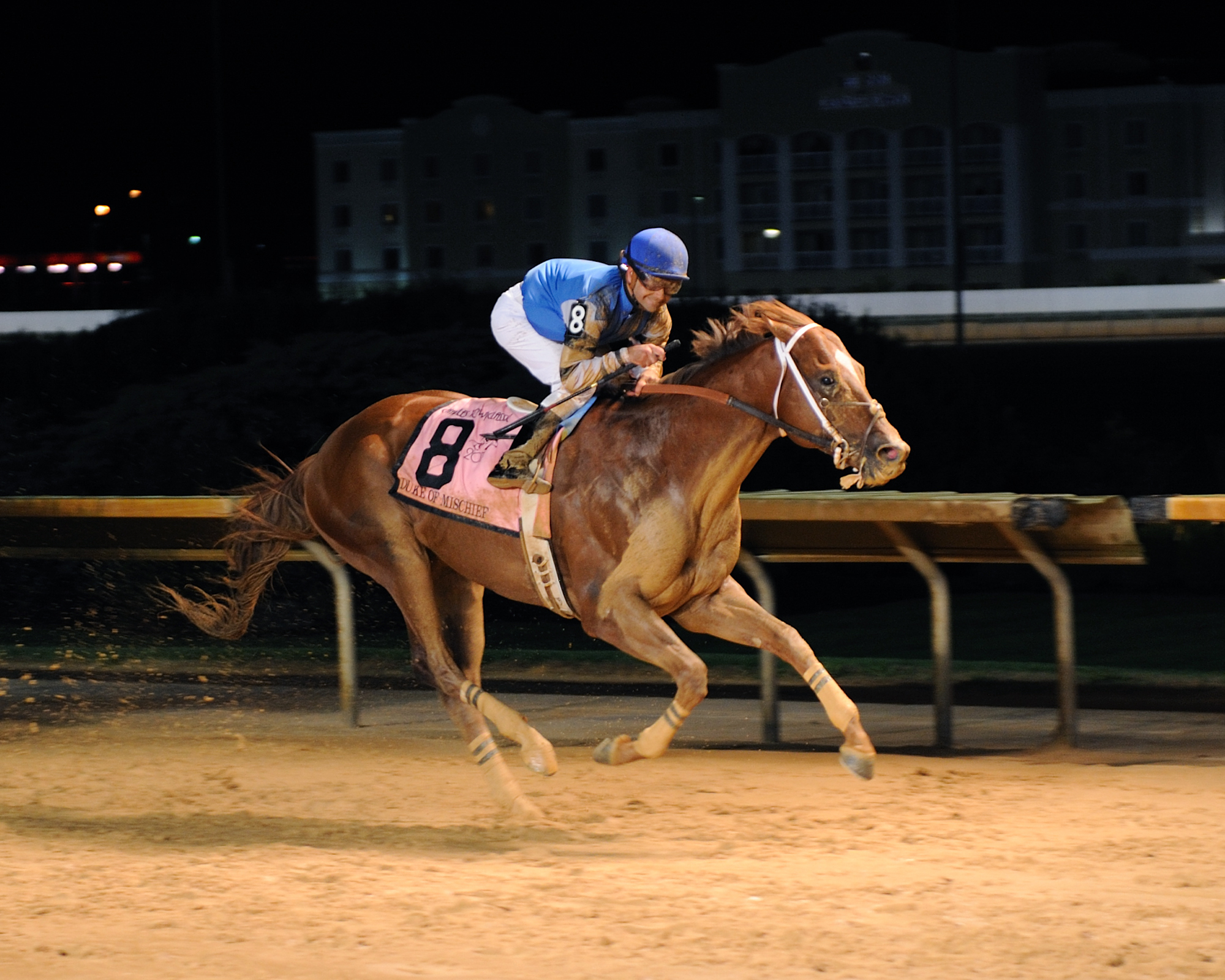 Duke of Mischief 4-16-2011
