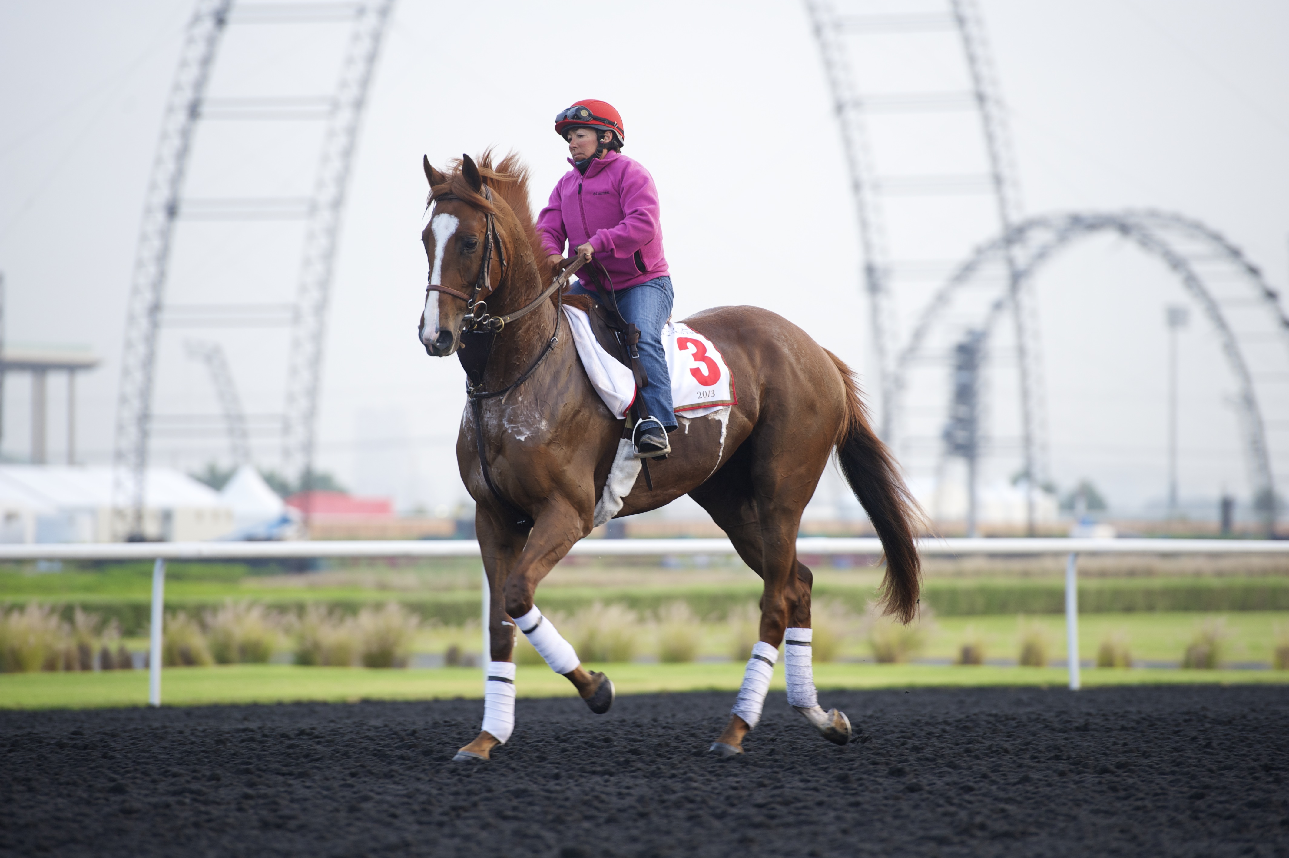 Dubai World Cup: Dullahan, Little Mike go easy