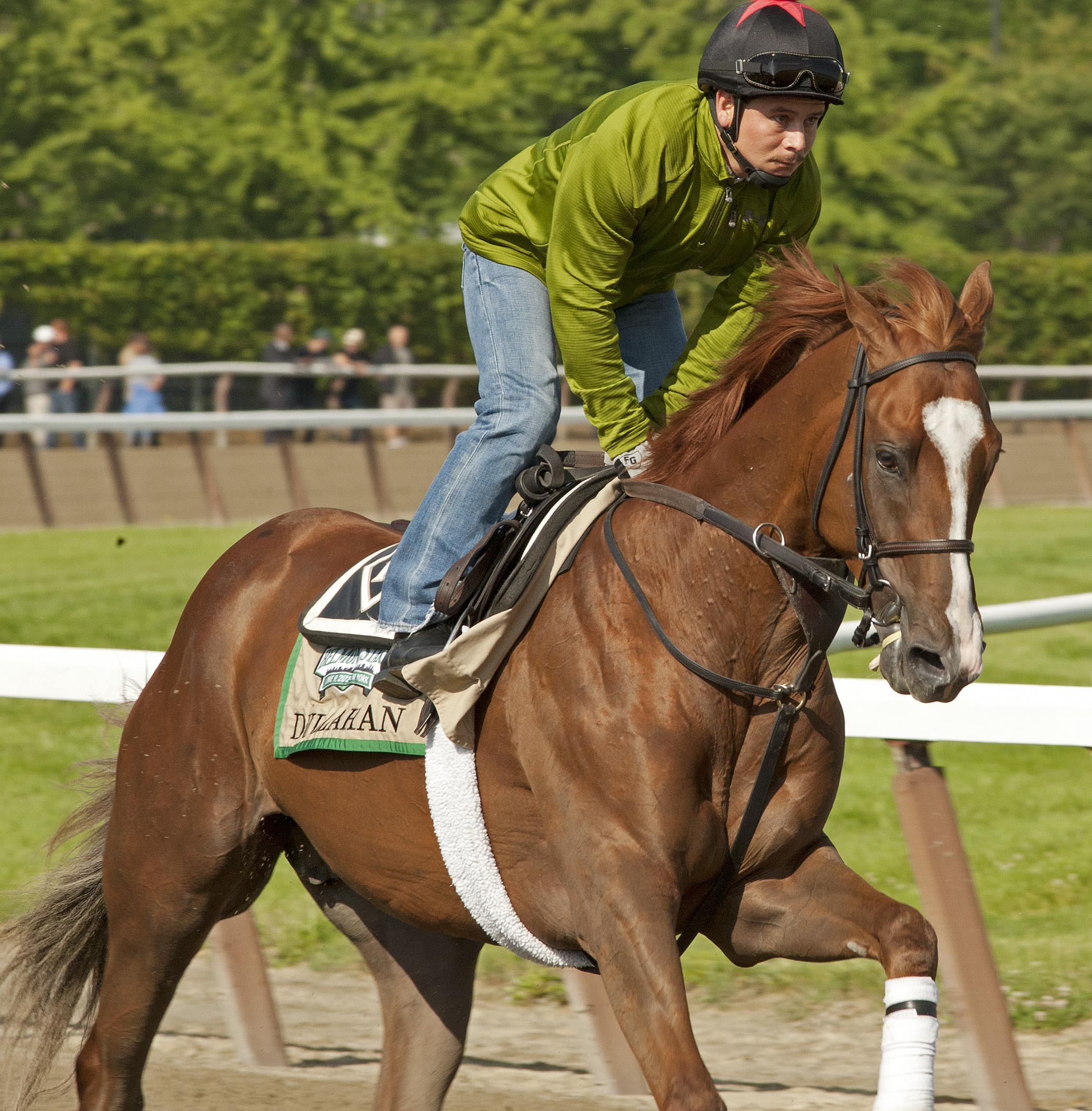 Belmont Stakes 2012: Dullahan tops cast of Triple Crown spoilers