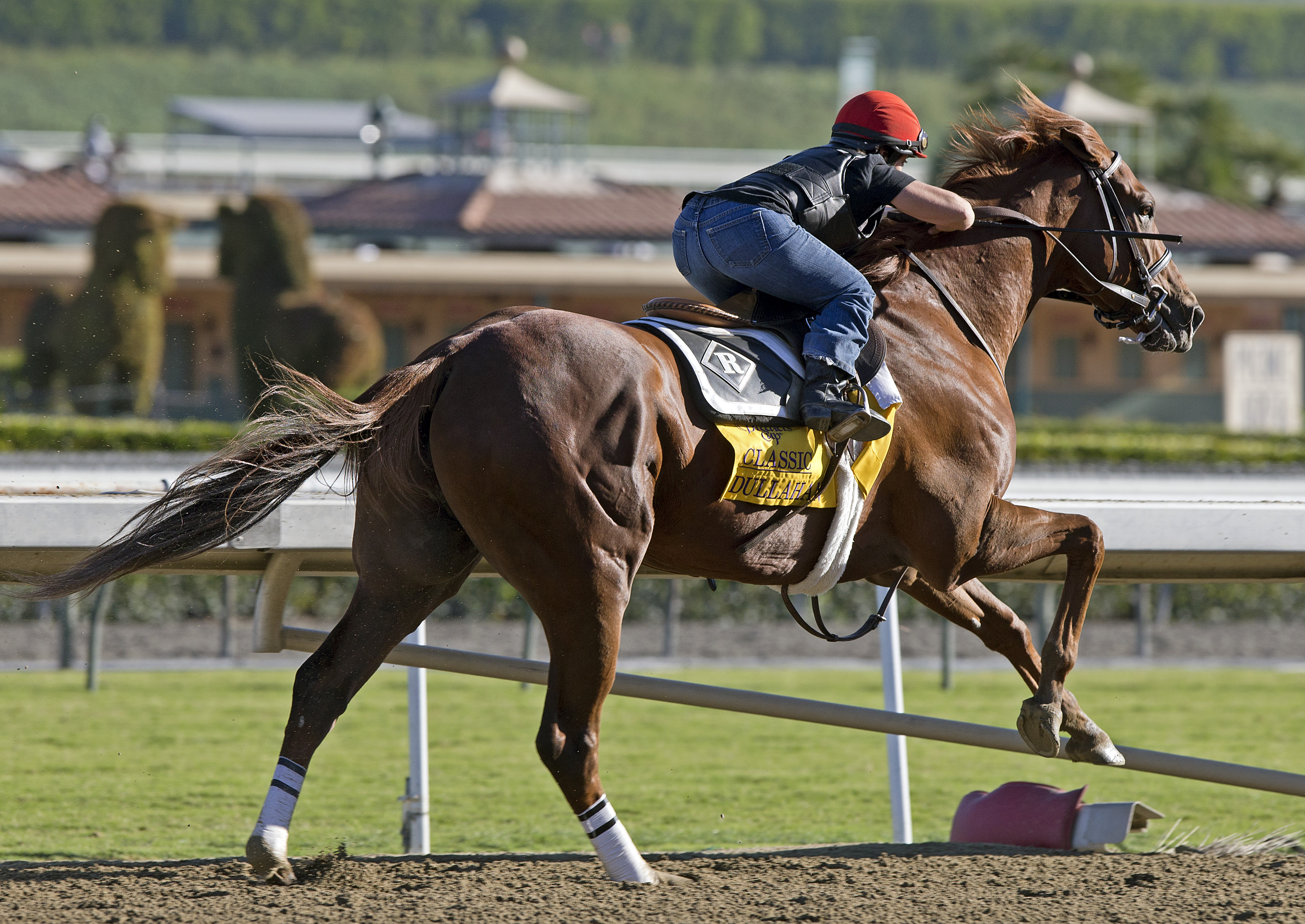 Dullahan/Oct. 27 work