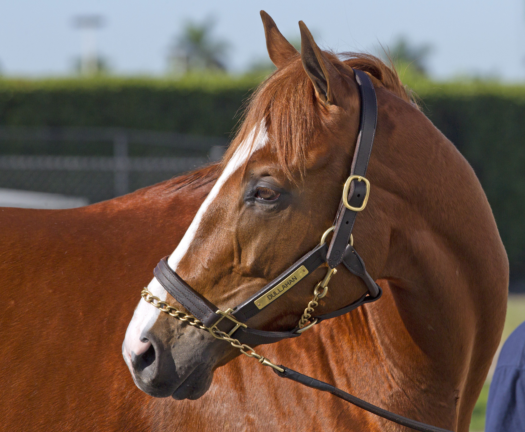 Dullahan
