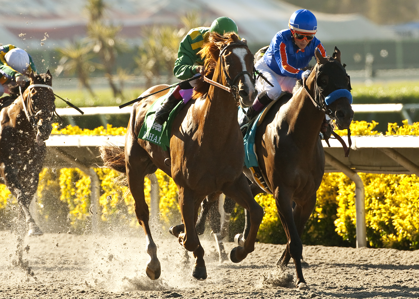 Game on Dude and Dullahan/Pacific Classic