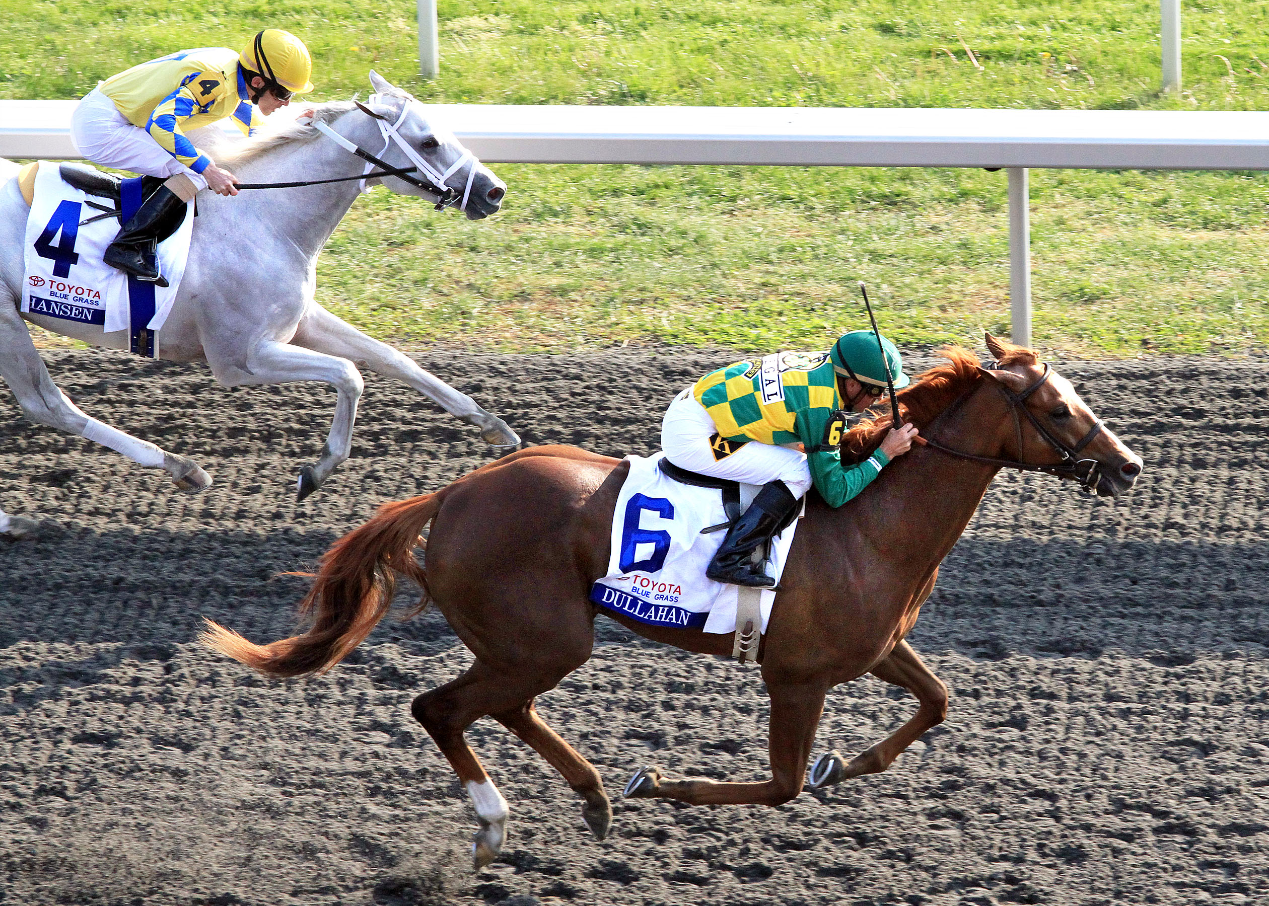 Dullahan/Blue Grass