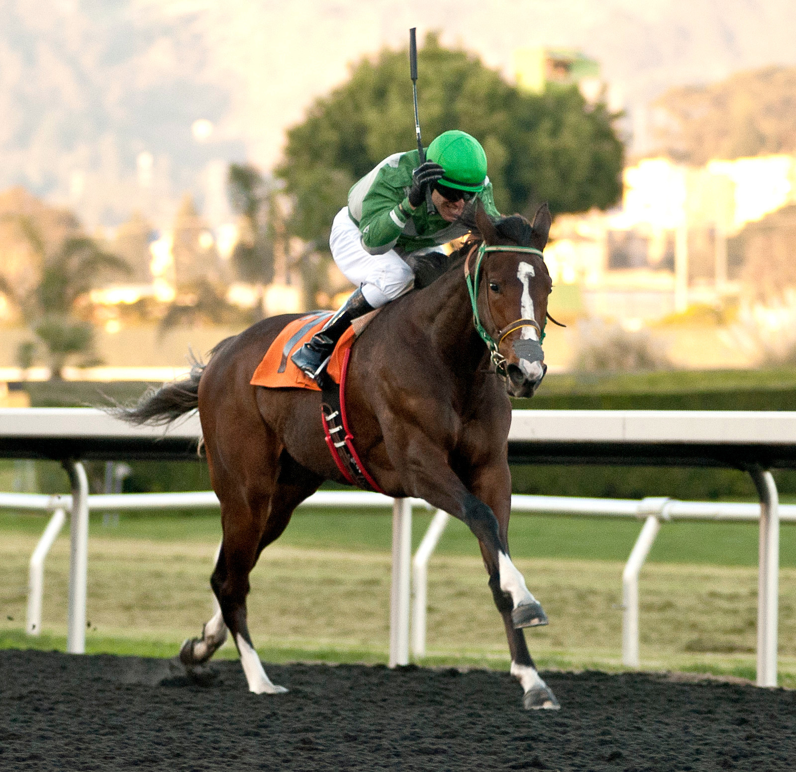 Dumont give Gerry Olguin his 2000th win