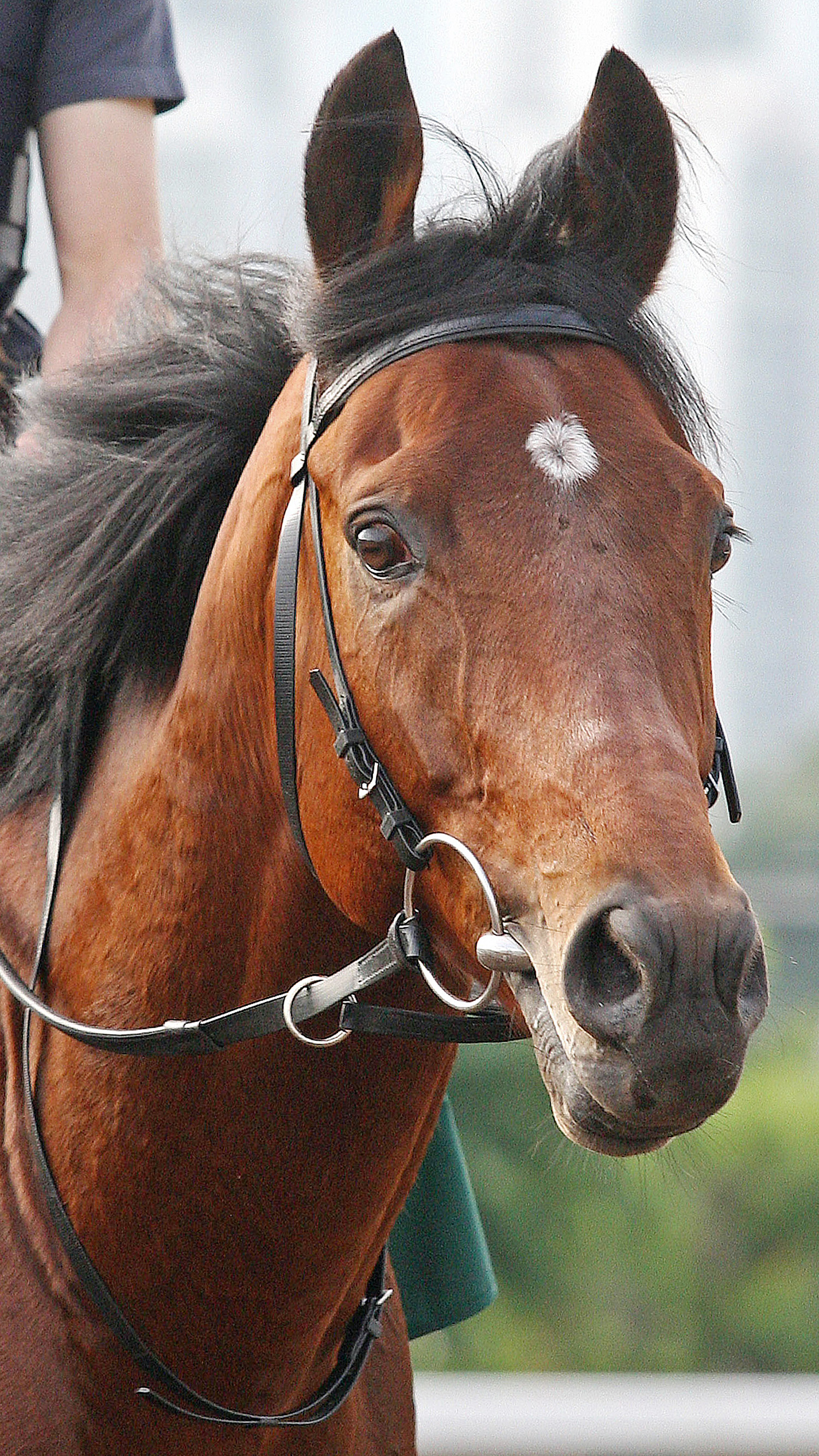Dunaden