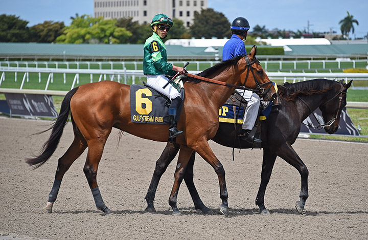Dunbar Road at Gulfstream Park March 30
