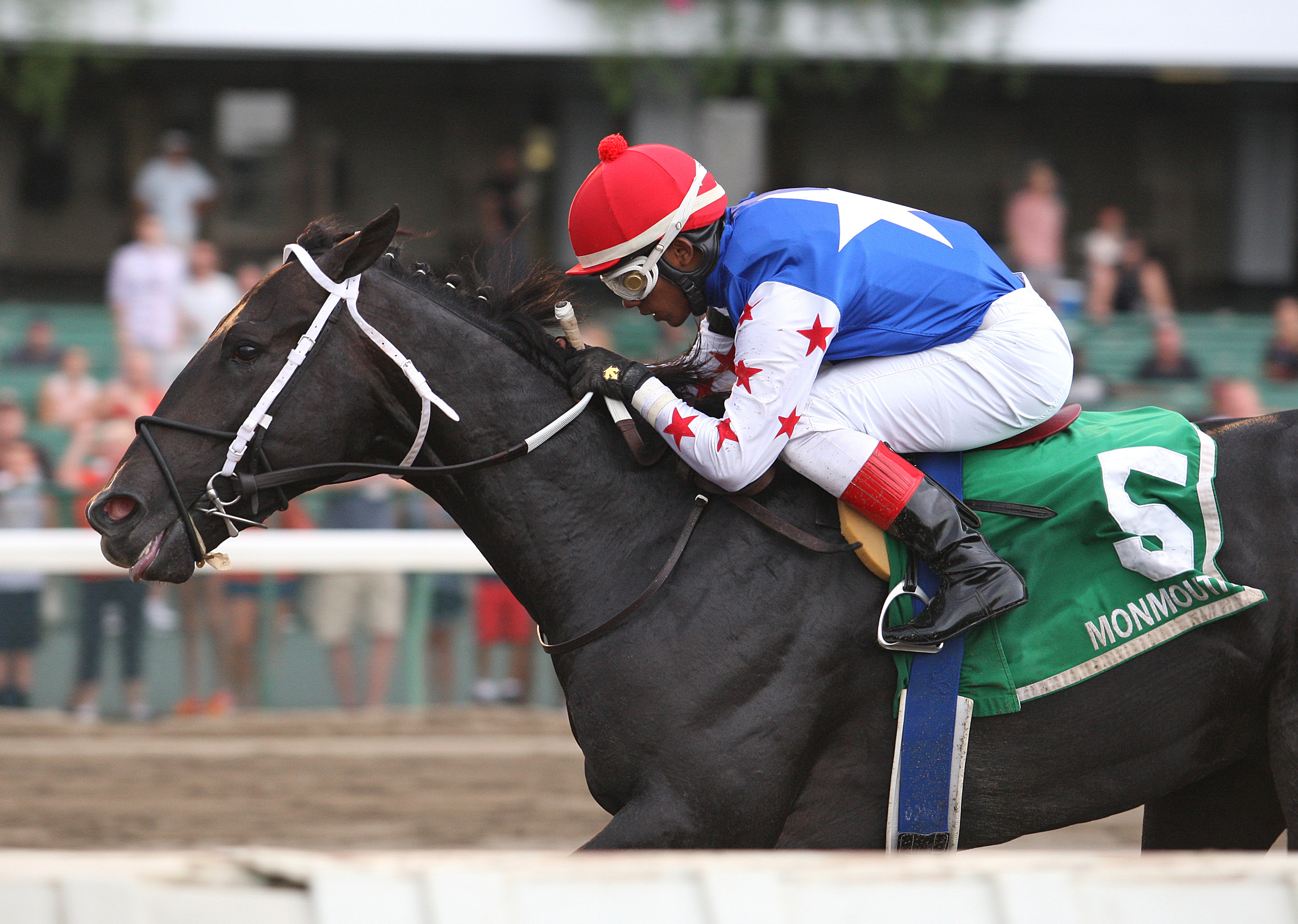 Dunkin Bend wins the Sapling