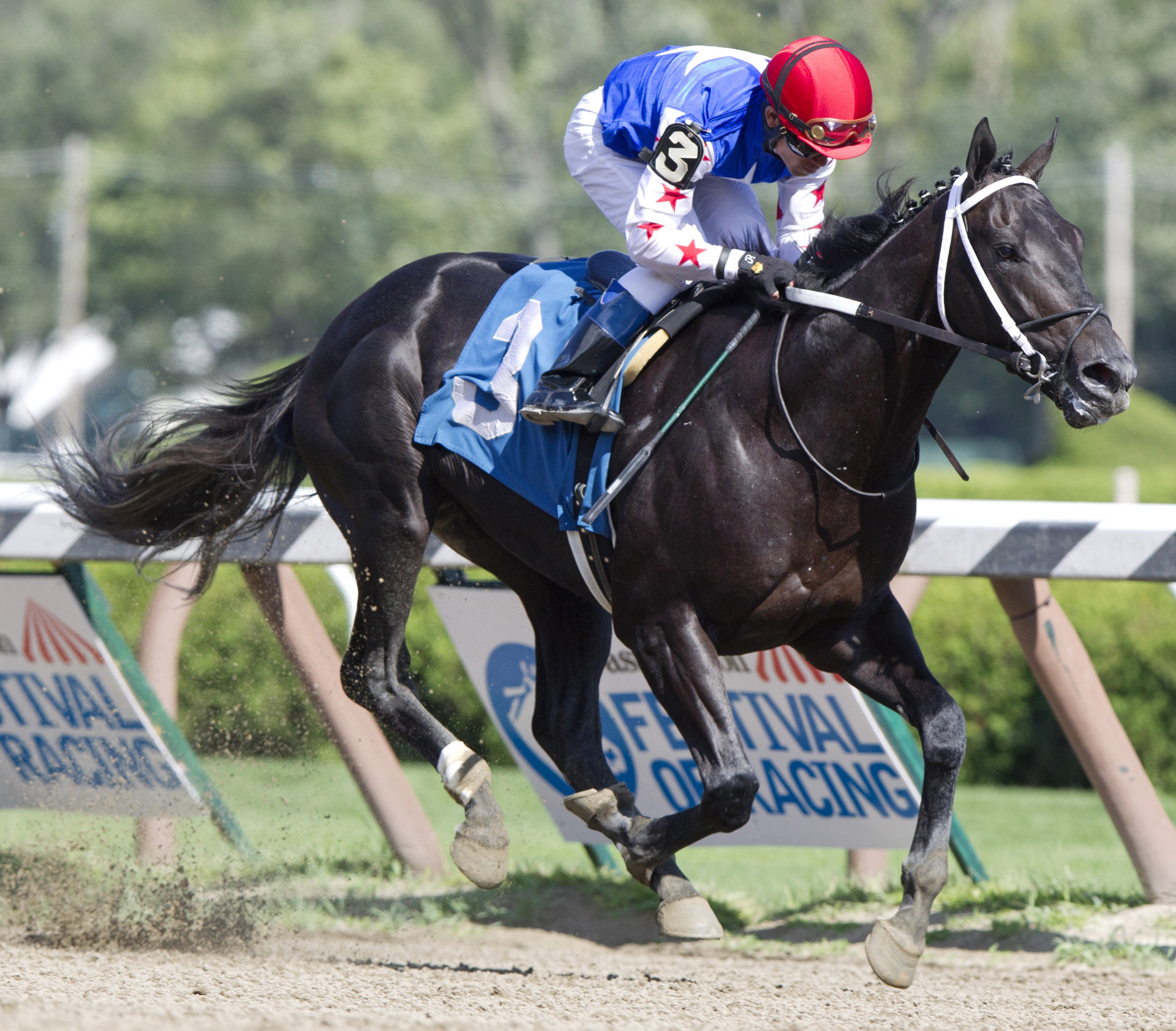 Dunkin Bend wins a maiden race