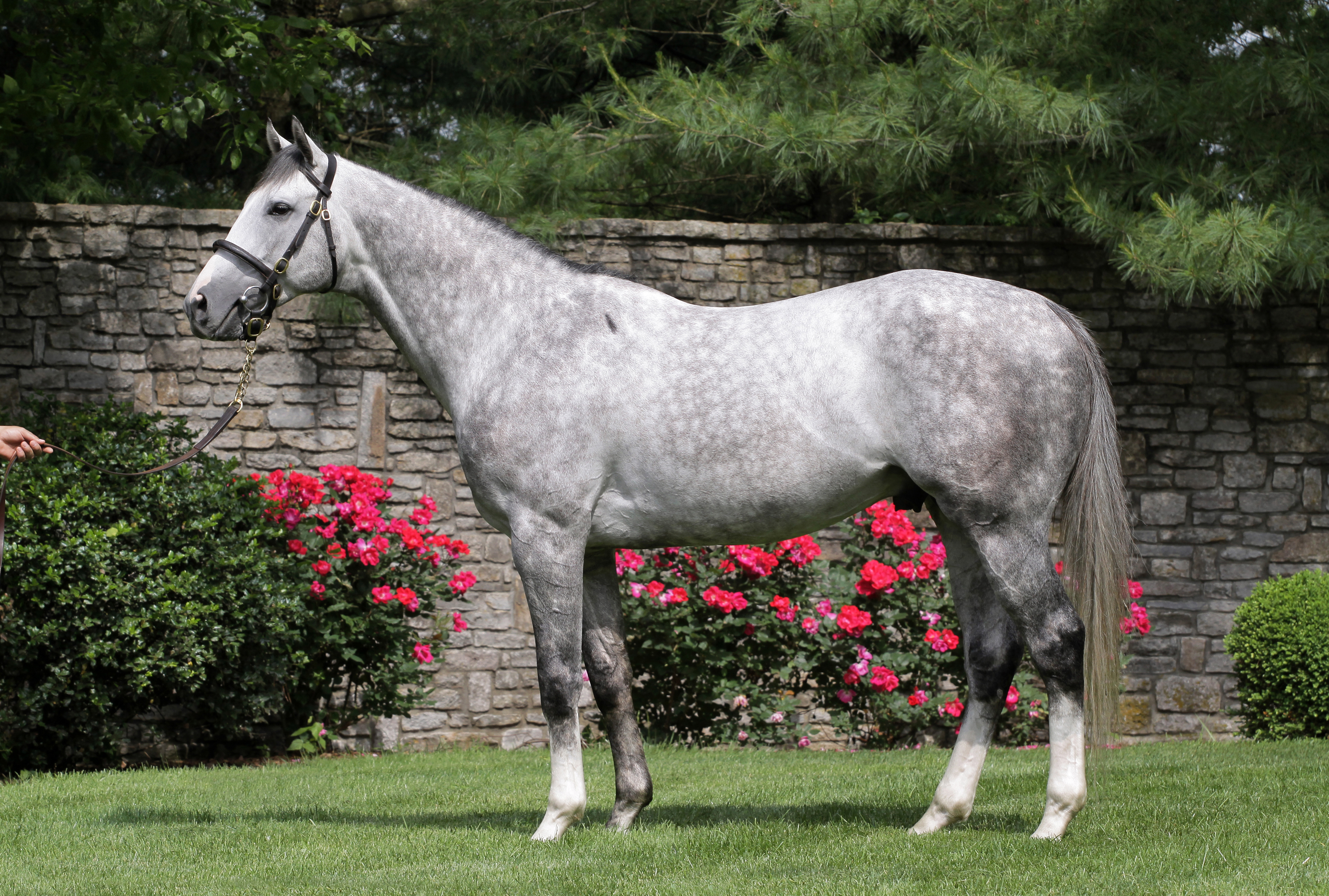 2013MW Dunkirk