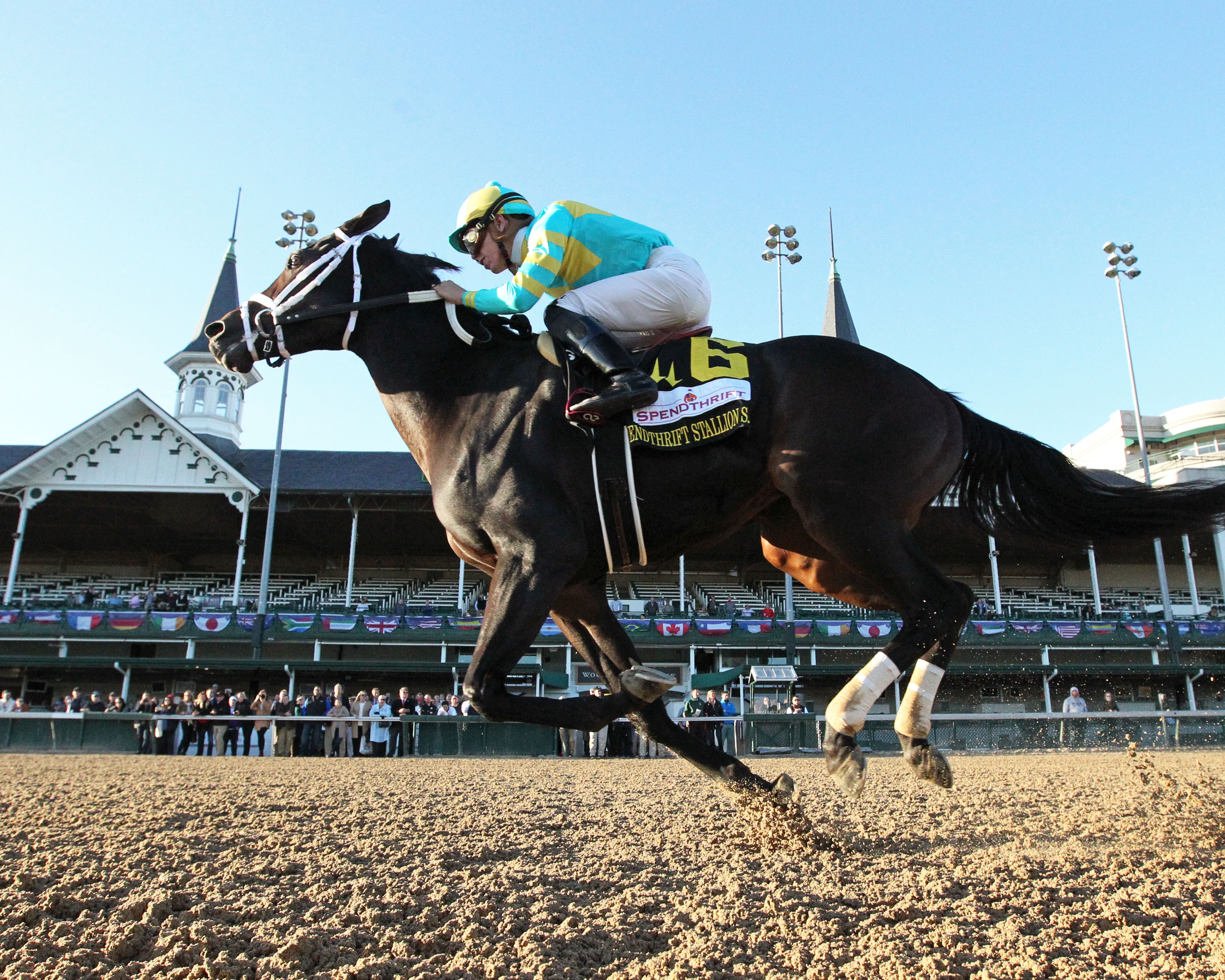 Dunph wins the 2018 Juvenile Stallion Stakes