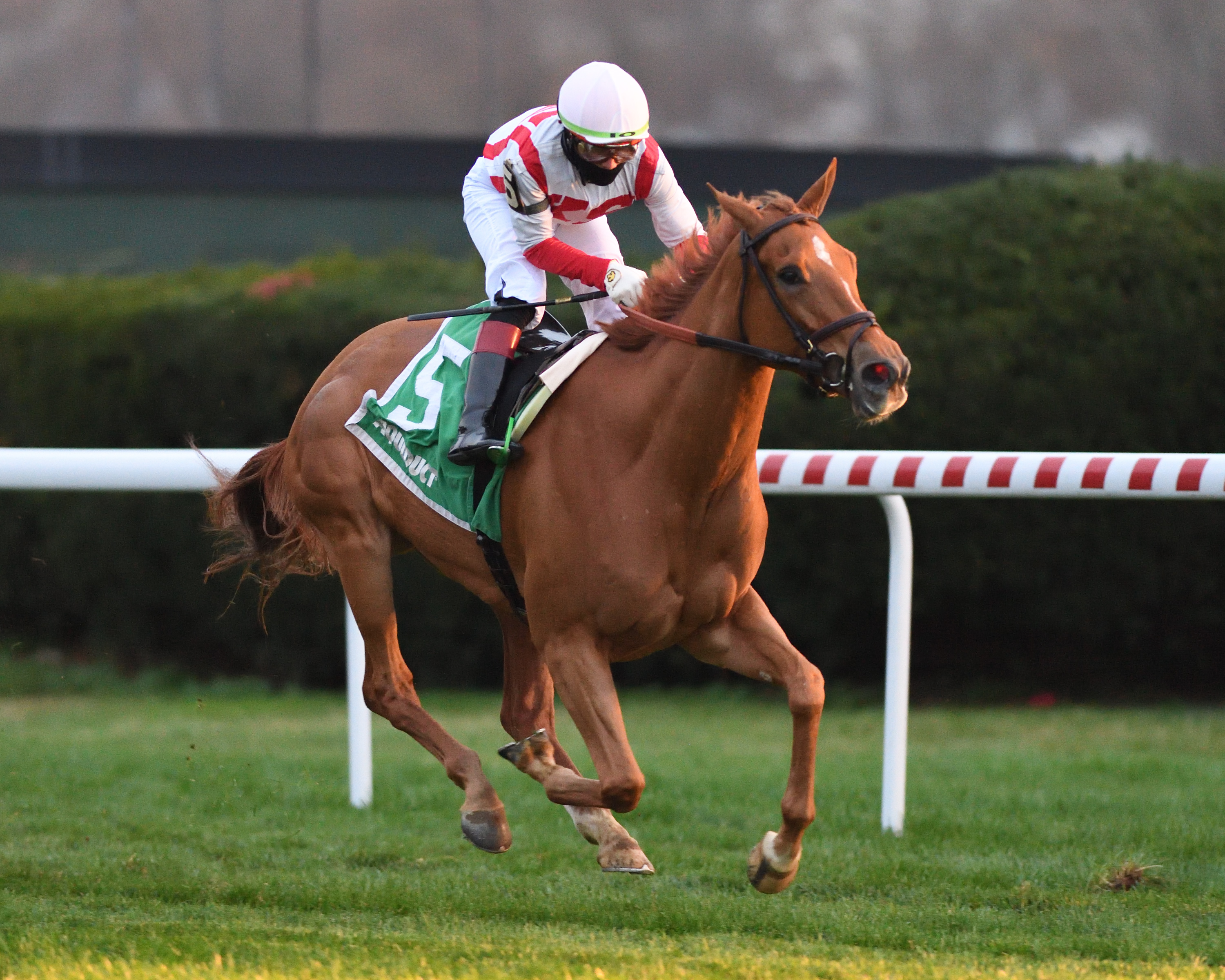 Duopoly wins the 2020 Winter Memories Stakes at Aqueduct