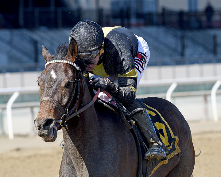 Durkin-s Call wins the 2019 Gander