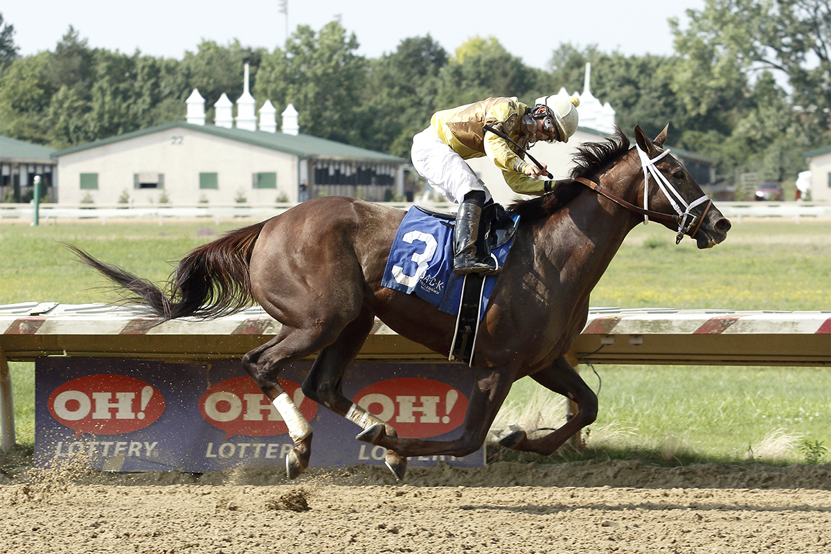 Dutch Parrot wins the Lady Jacqueline Stakes