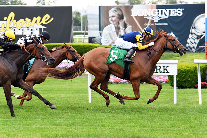 Dyna Passer wins a May 23 maiden race at Belmont Park