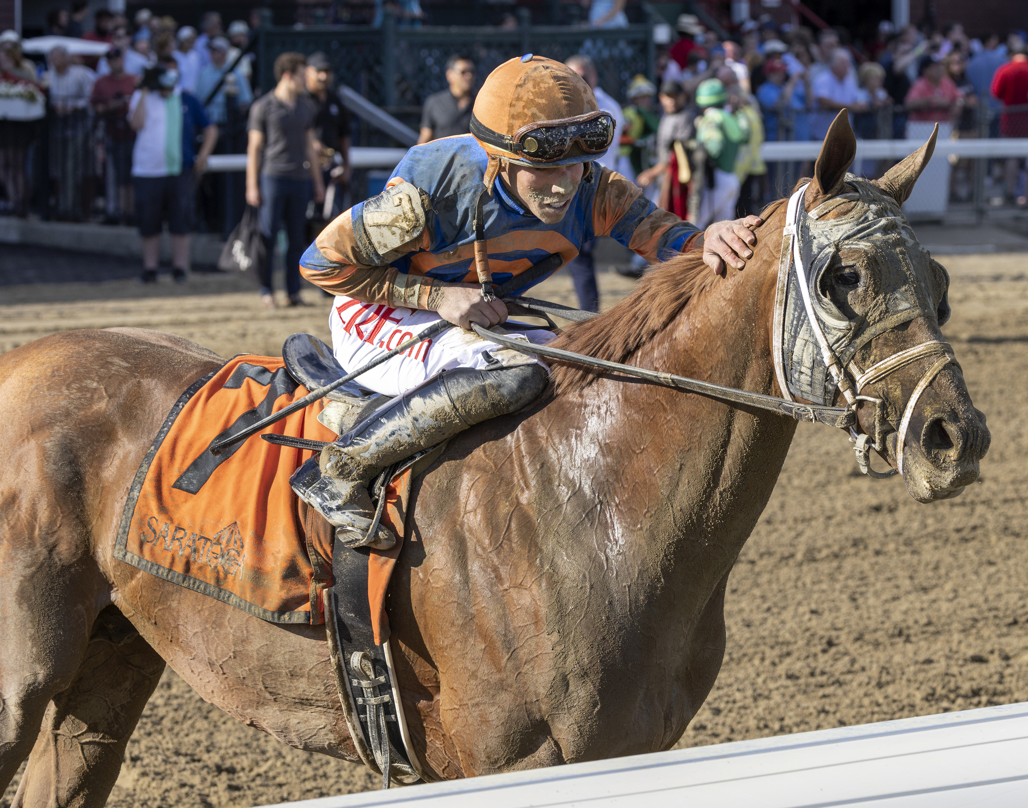 Dynamic One - Curlin S. 2021