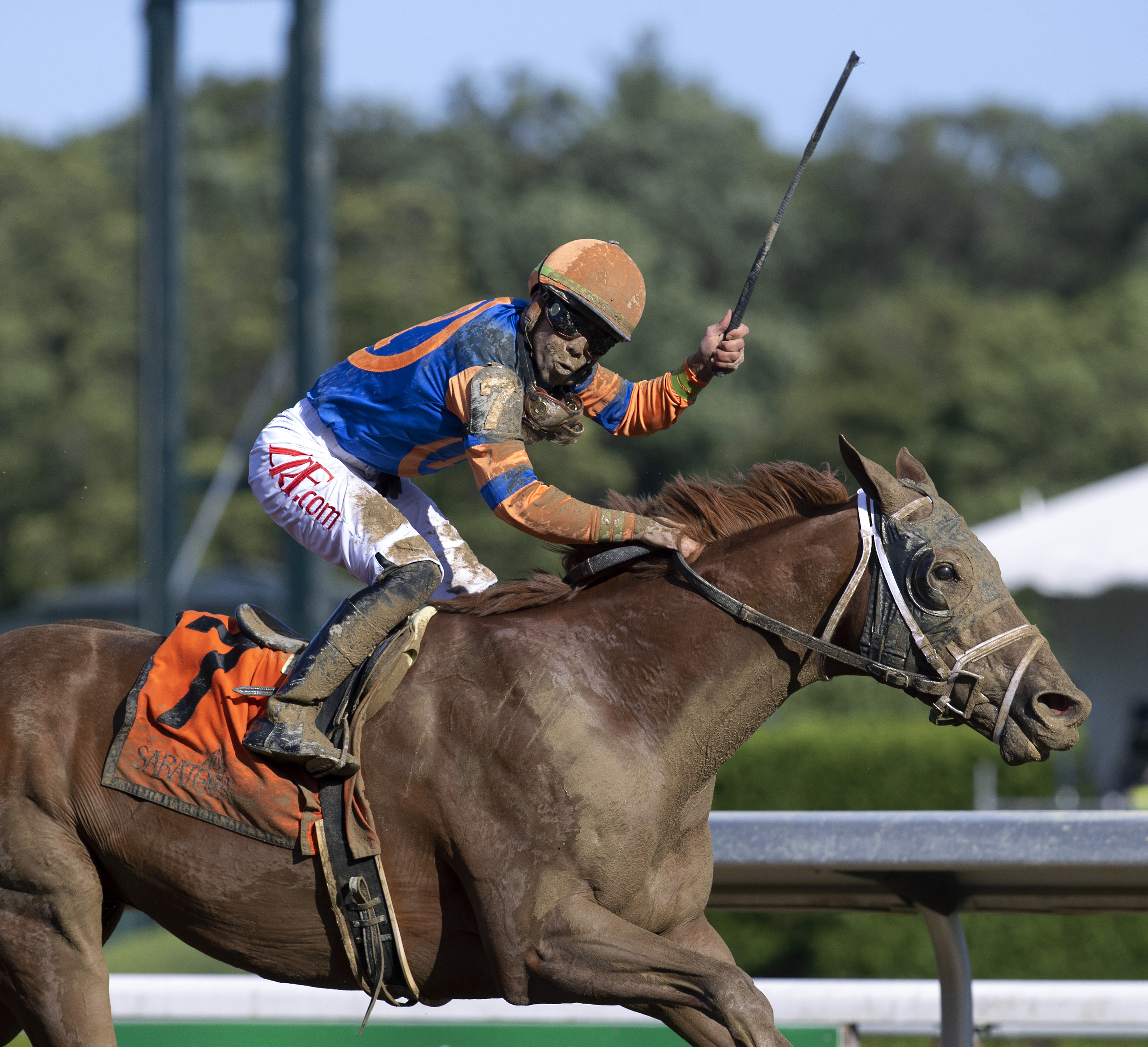 Dynamic One/Curlin Stakes