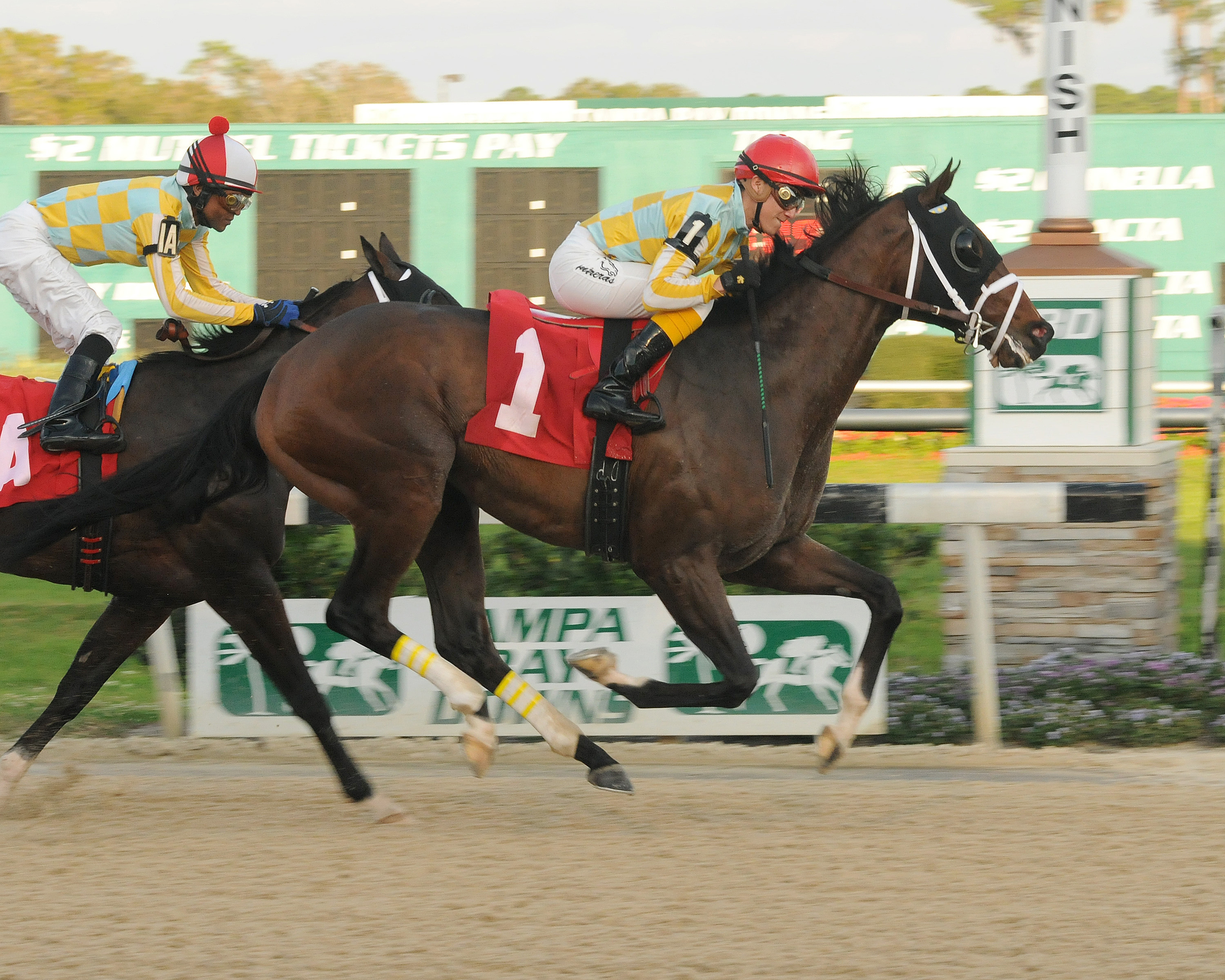 Dynamic Sky, Pasco Stakes