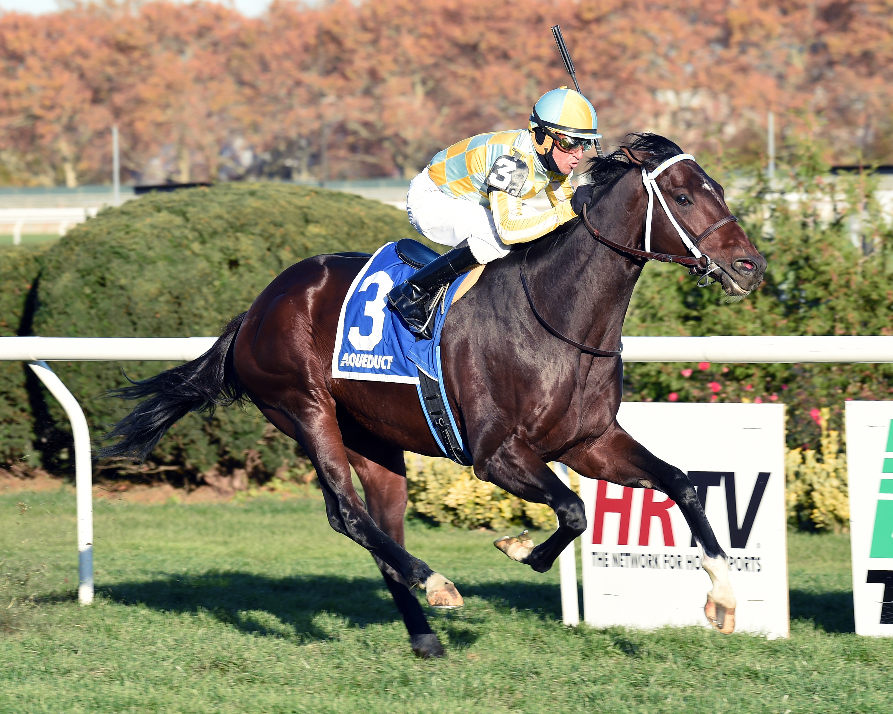 Dynamic Sky wins the Red Smith