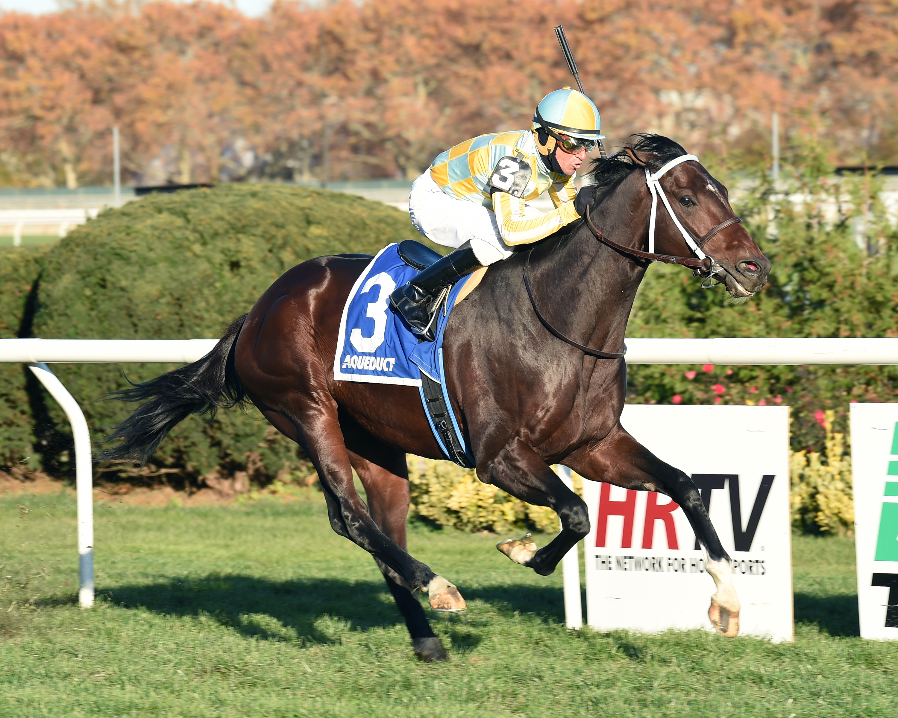 Dynamic Sky wins the 2014 Red Smith Handicap