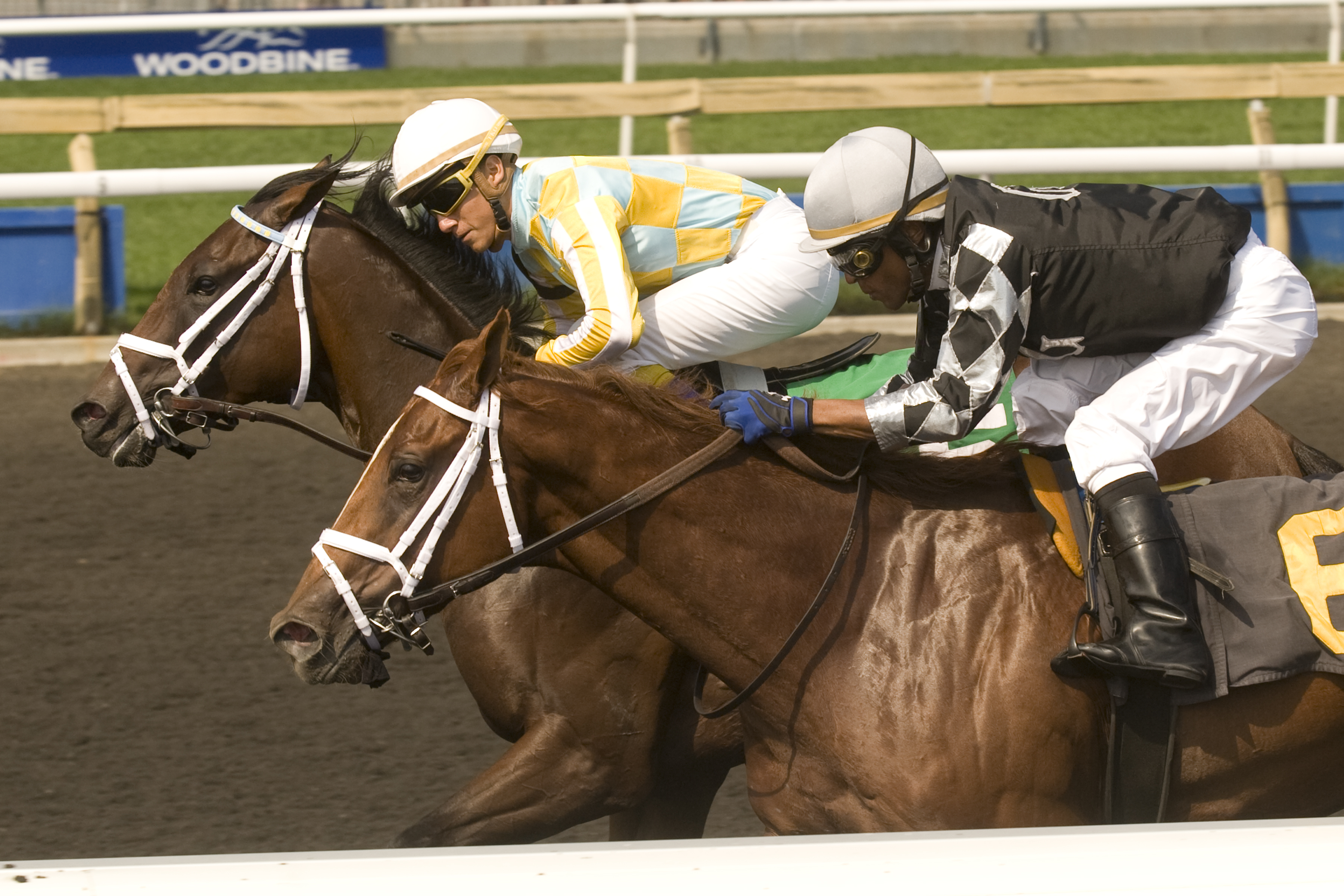 Dynamic Sky and Honorable Guest/Simcoe Stakes