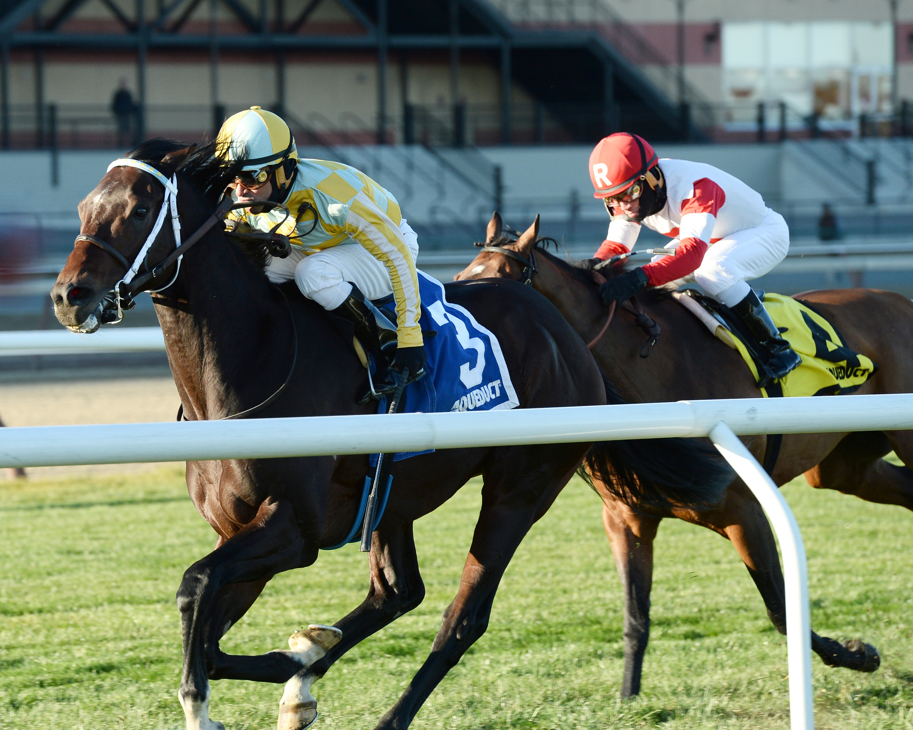 Dynamic Sky wins the Red Smith Handicap