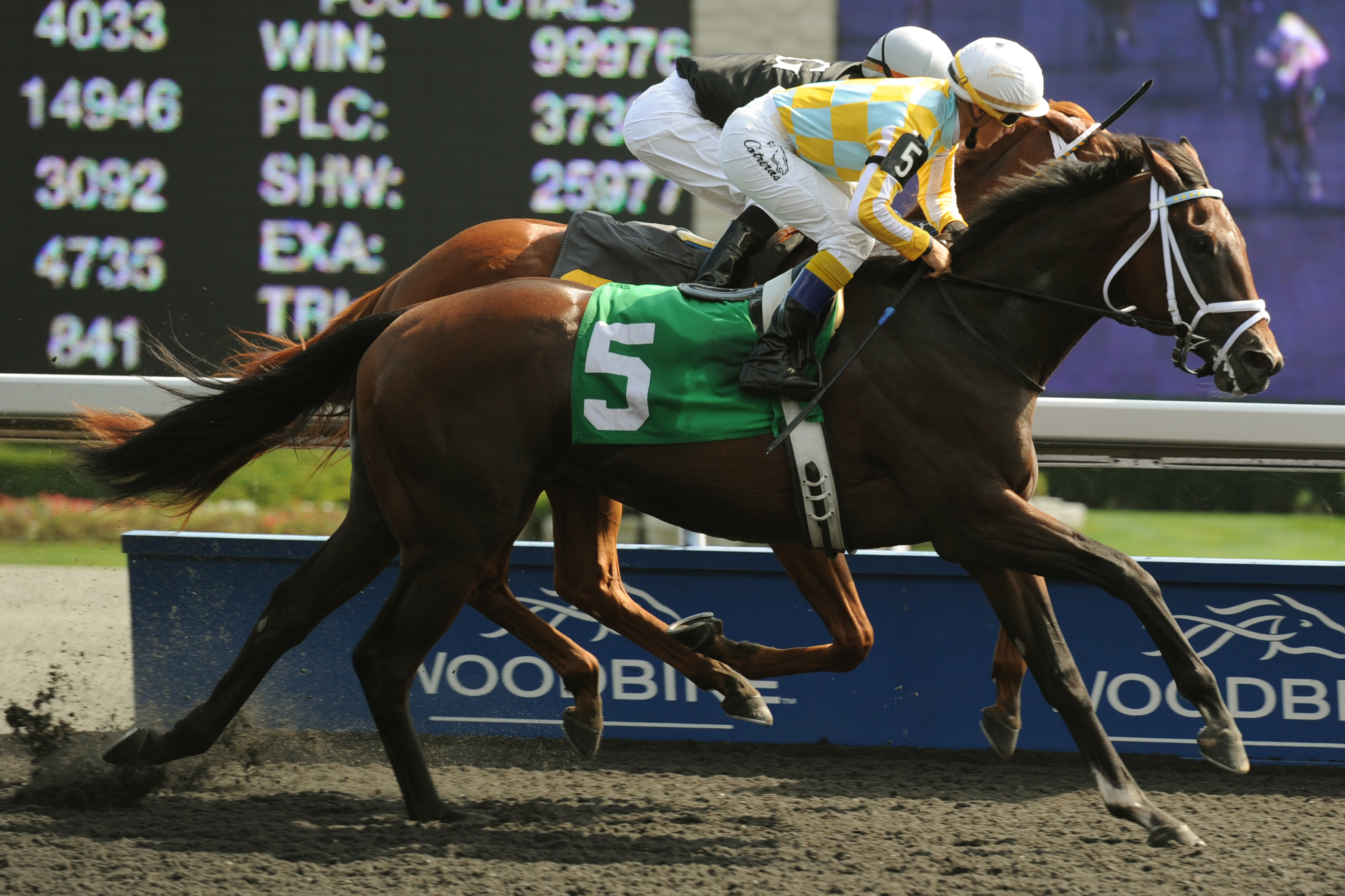 Dynamic Sky, Simcoe Stakes