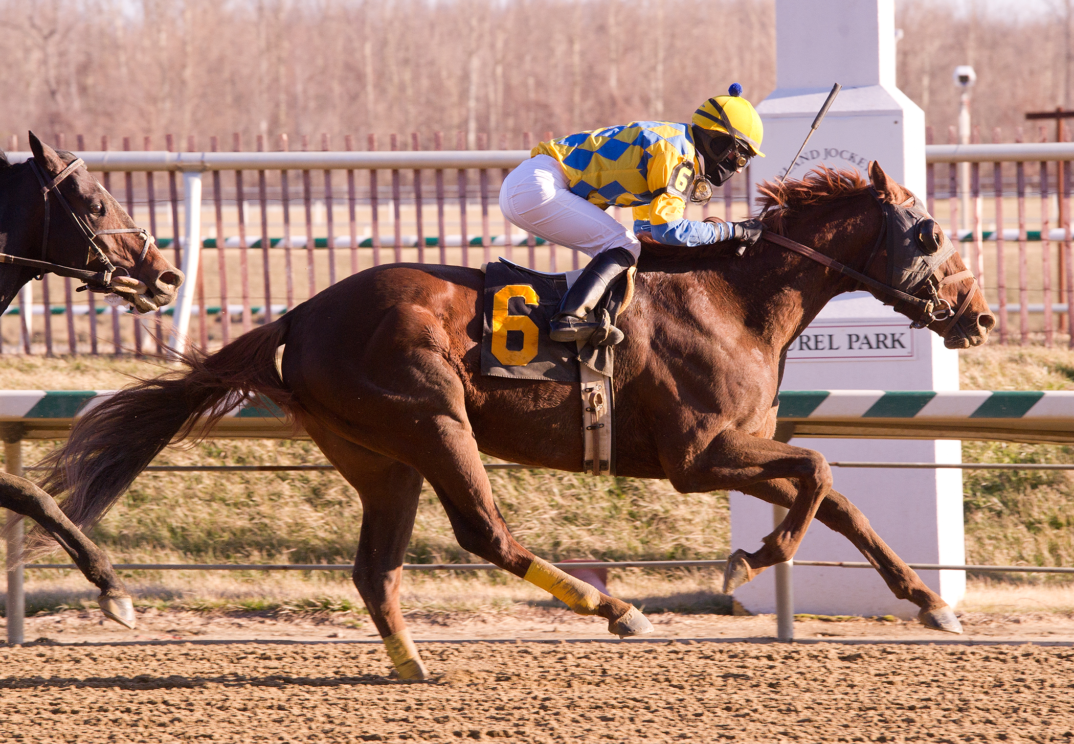 Dynamic Strike 2-9-2013