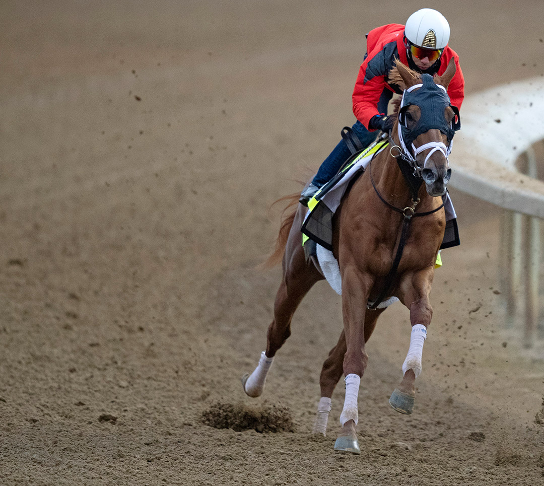 Dynamic One trains at Churchill Downs on April 23