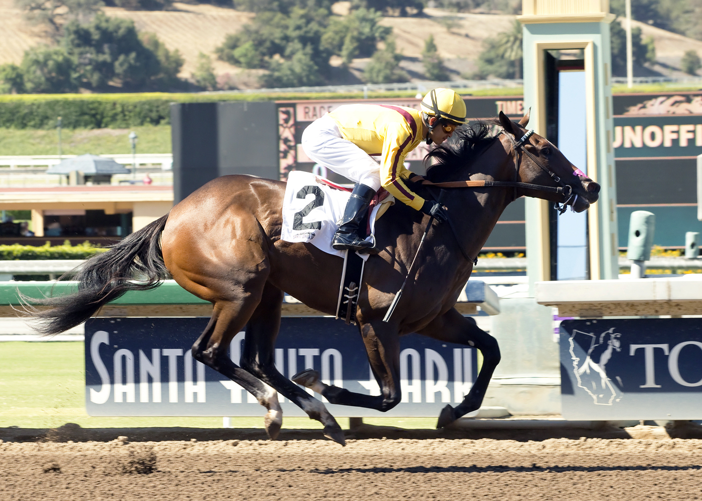 Dyanmite Charge wins a maiden race