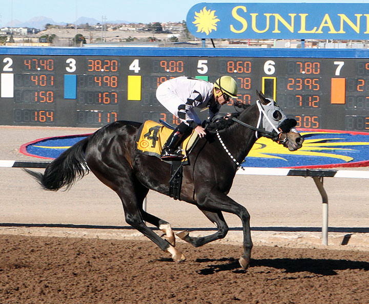 Dynasty of Her Own wins the 2020 Borderplex Stakes at Sunland Park