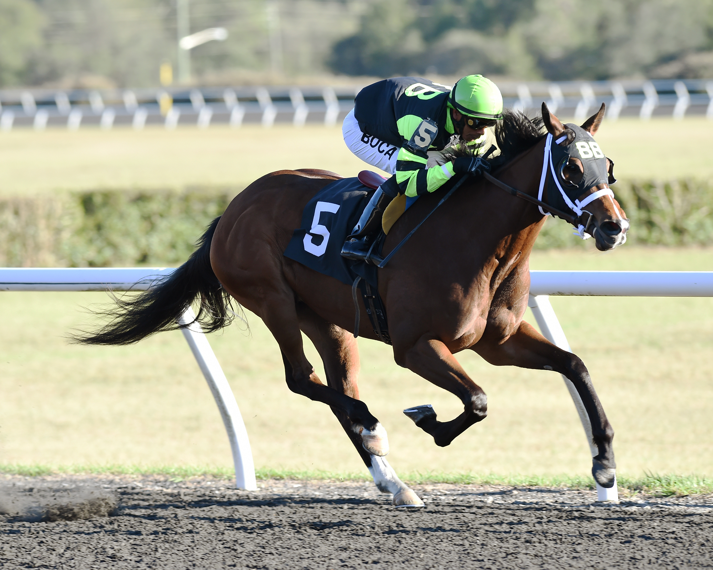 Dyantail wins the OBS Championship Stakes