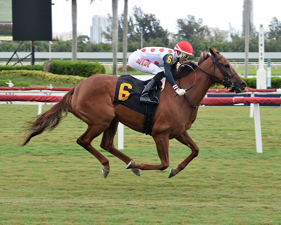 Dynatown wins a July 4 allowance at Gulfstream Park