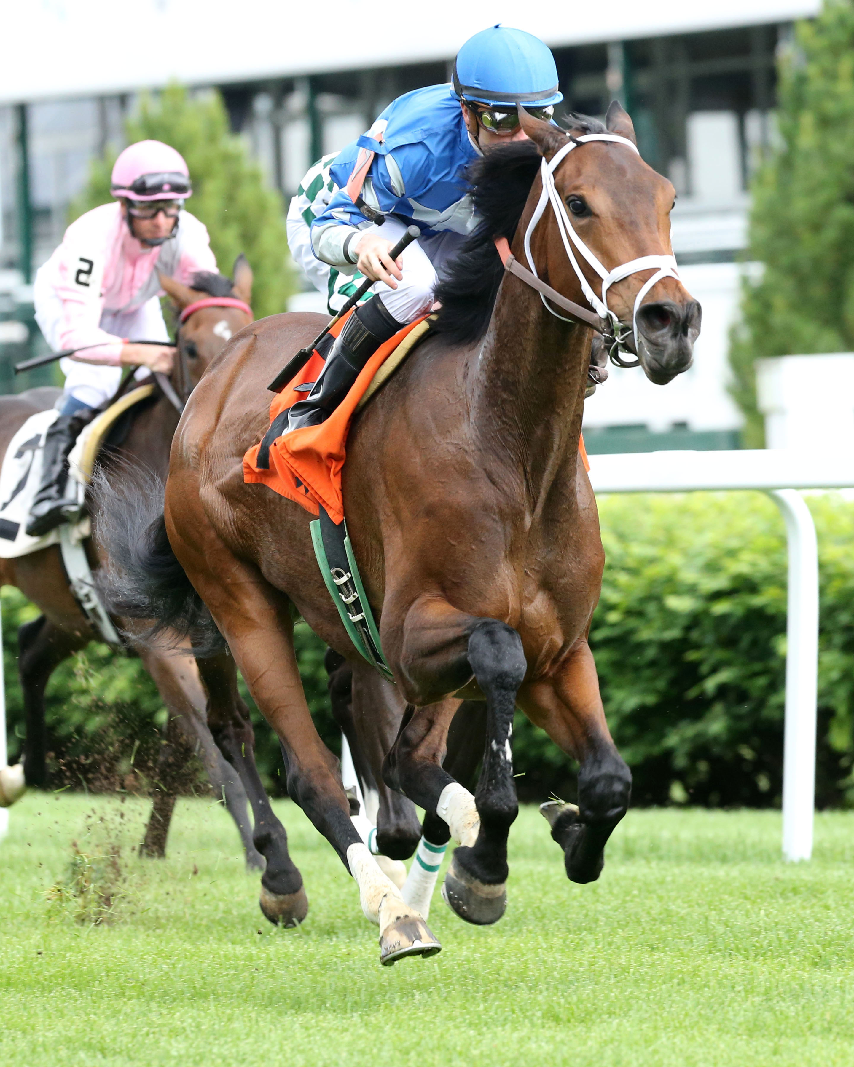 Dynazar wins an allowance race at Churchill Downs