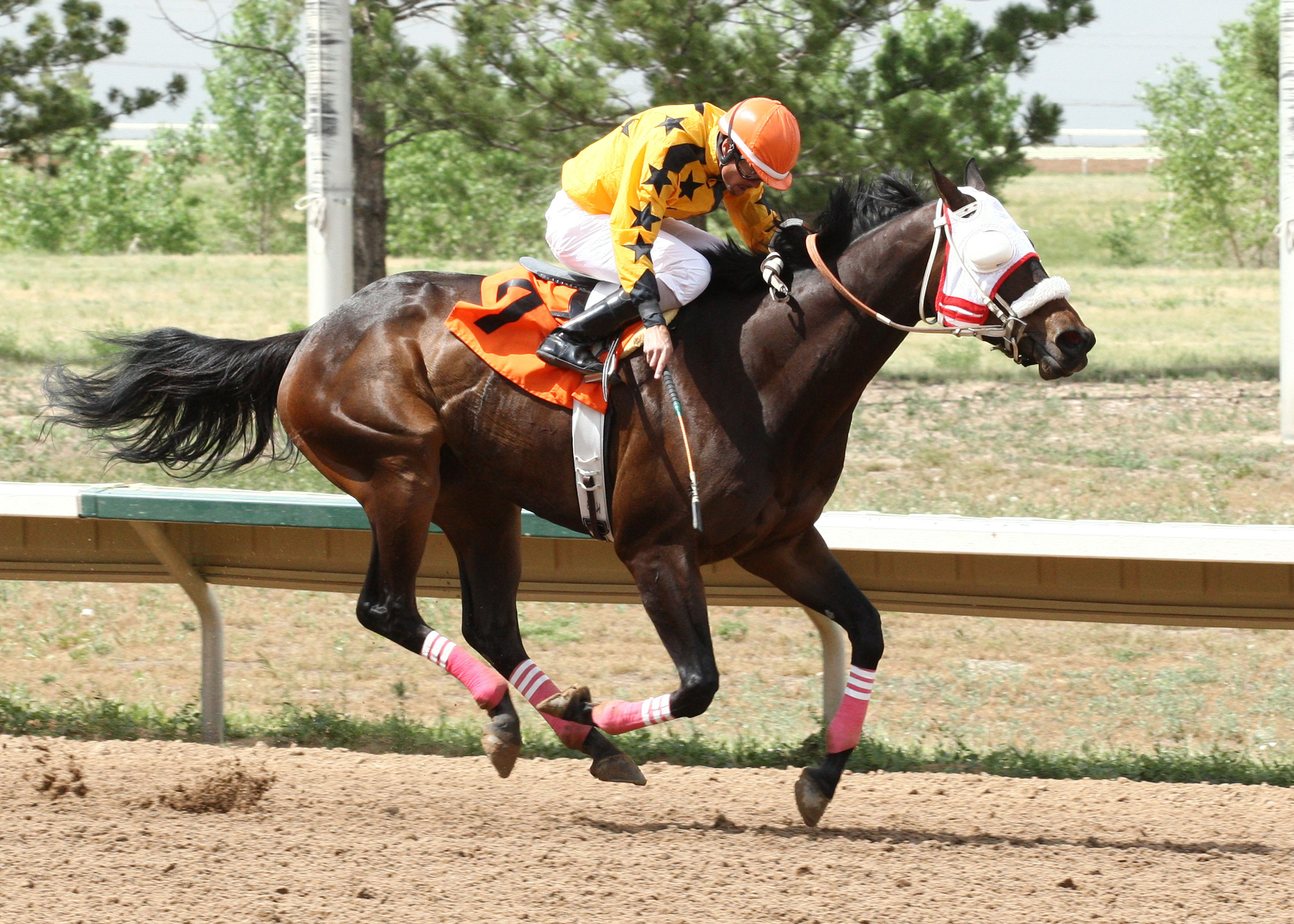 E F Five wins the 2013 Aspen Stakes