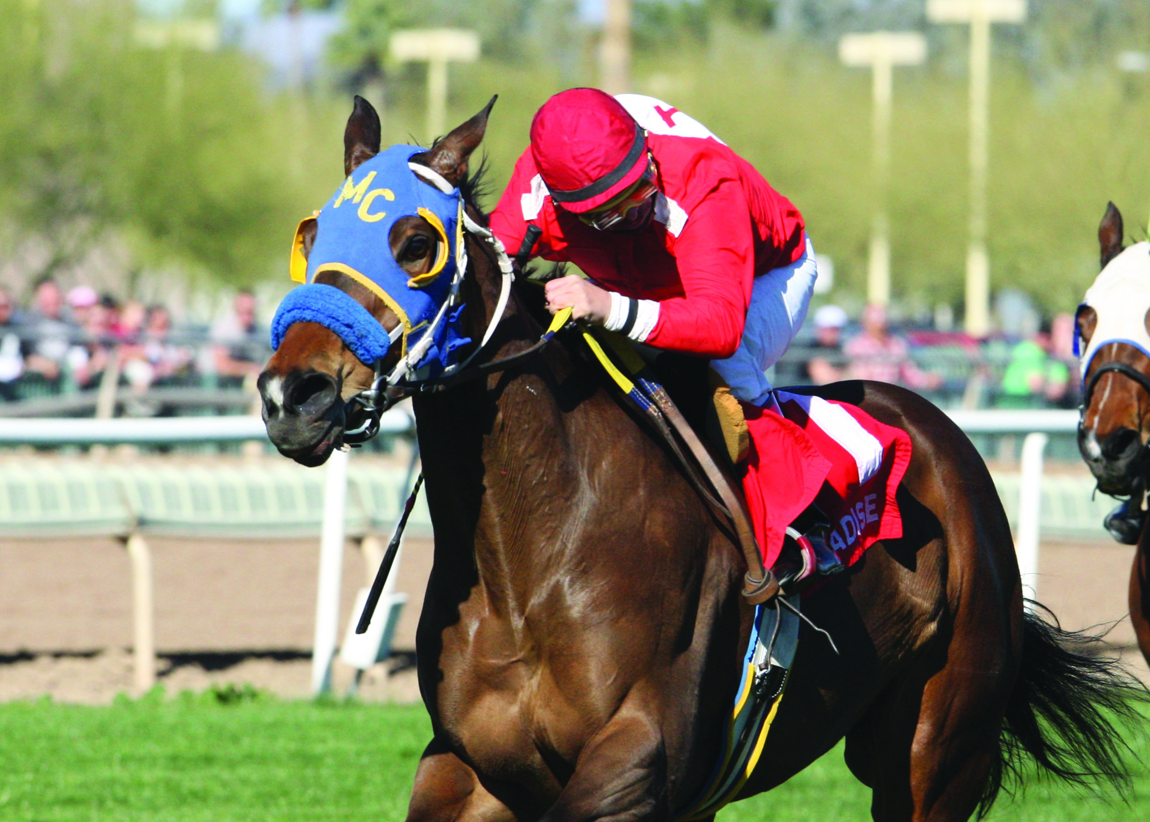 E Z Kitty, Sun City Handicap