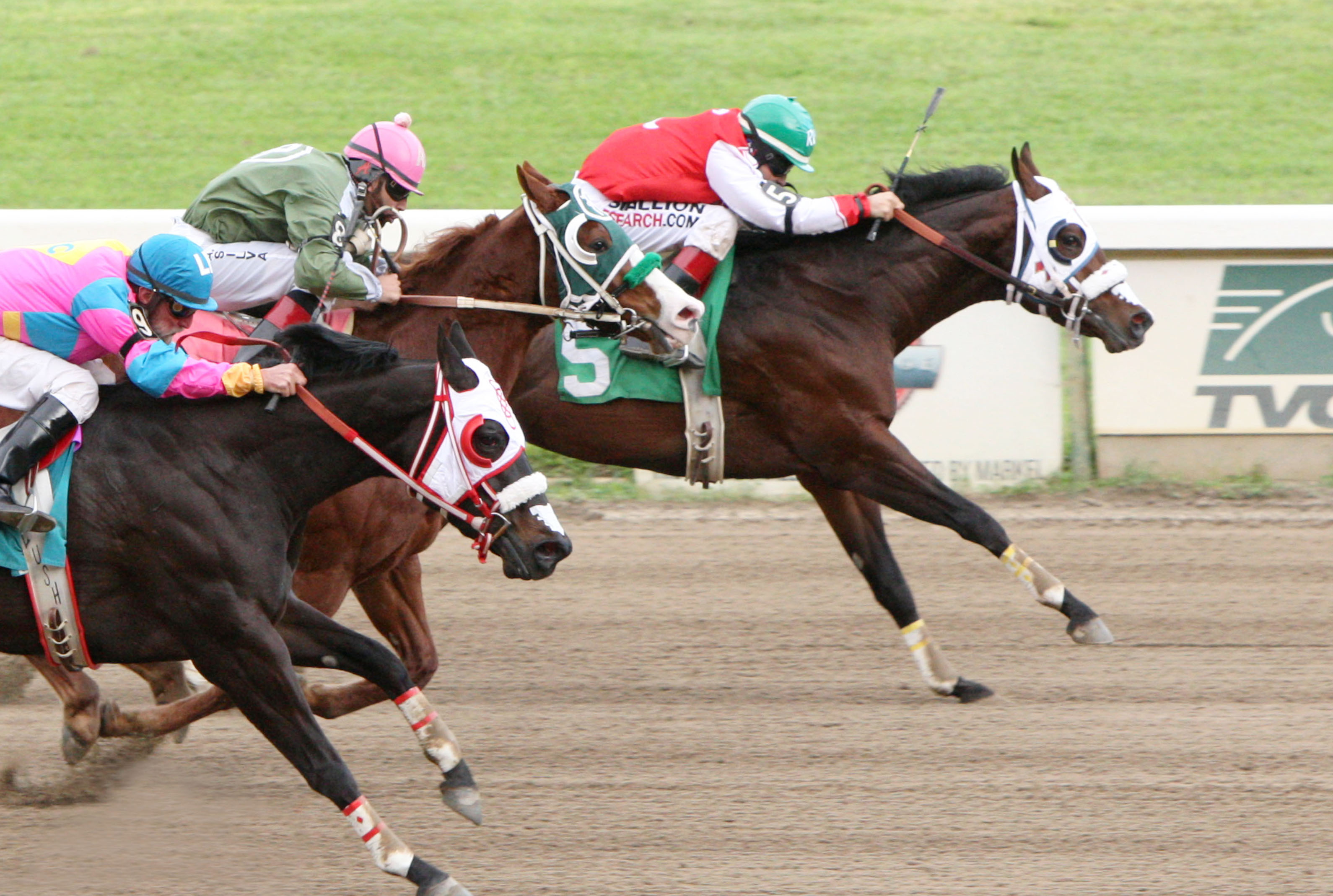 Ec Jet One wins the Hialeah Derby