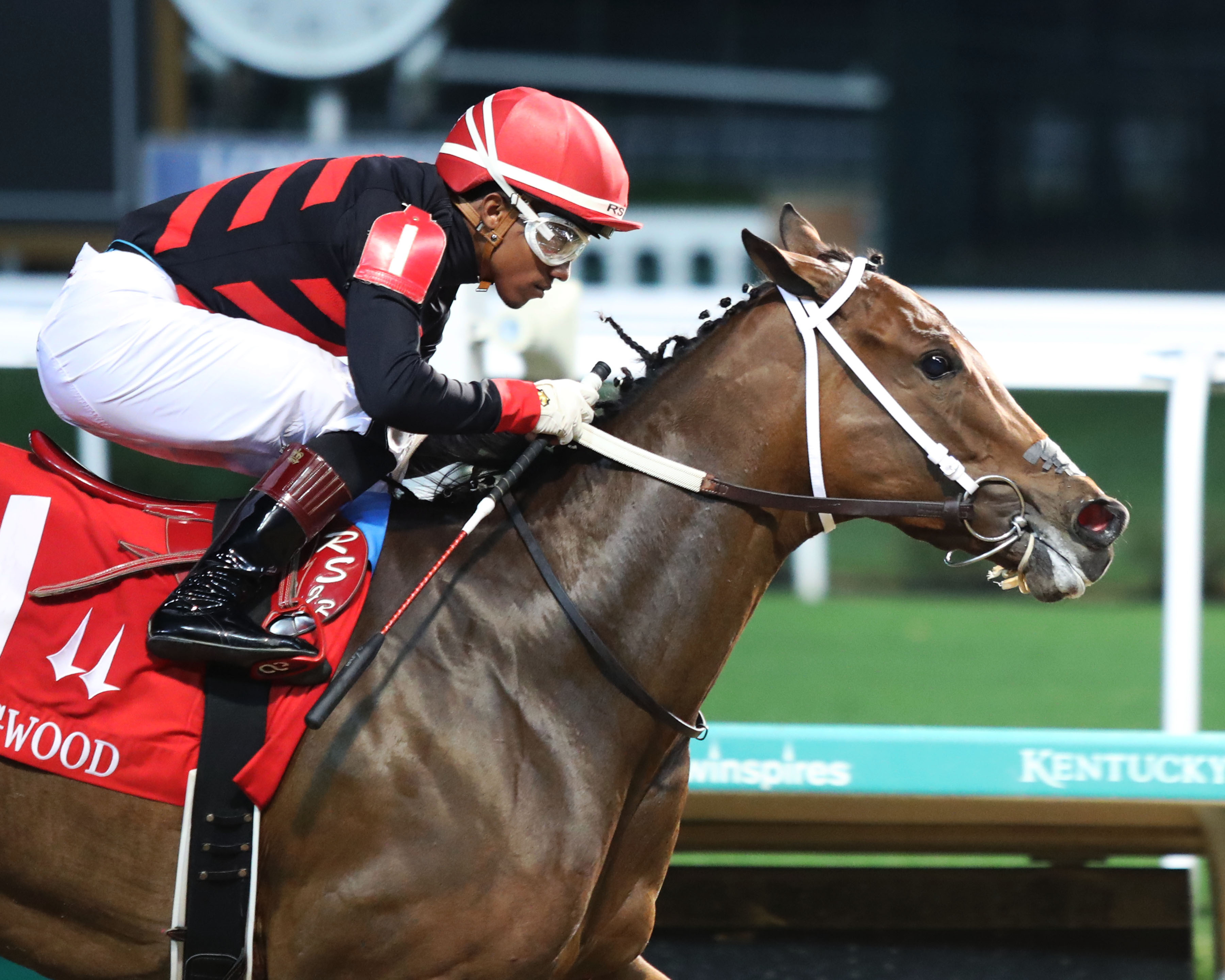Echo Zulu wins Dogwood 9-24-2022