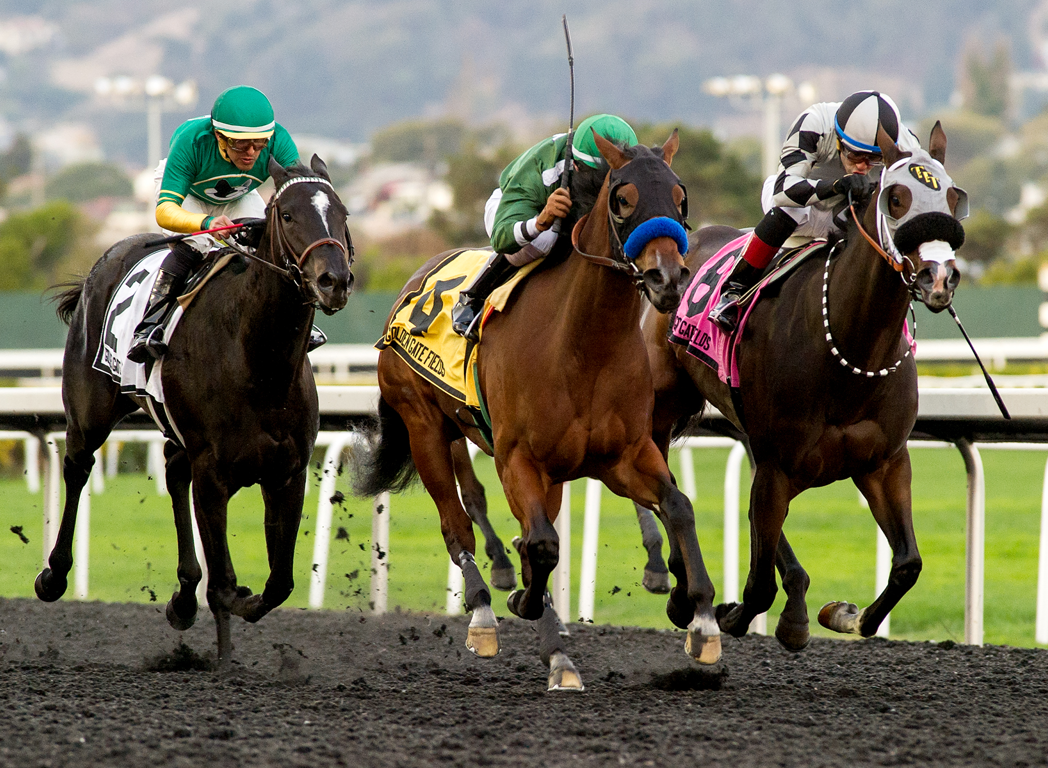 Eclair (center) wins the 2019 Golden Gate Debutante