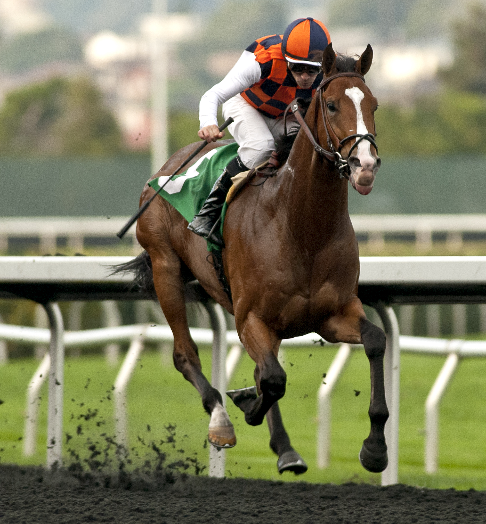 Editore wins the 2017 Berkeley Handicap