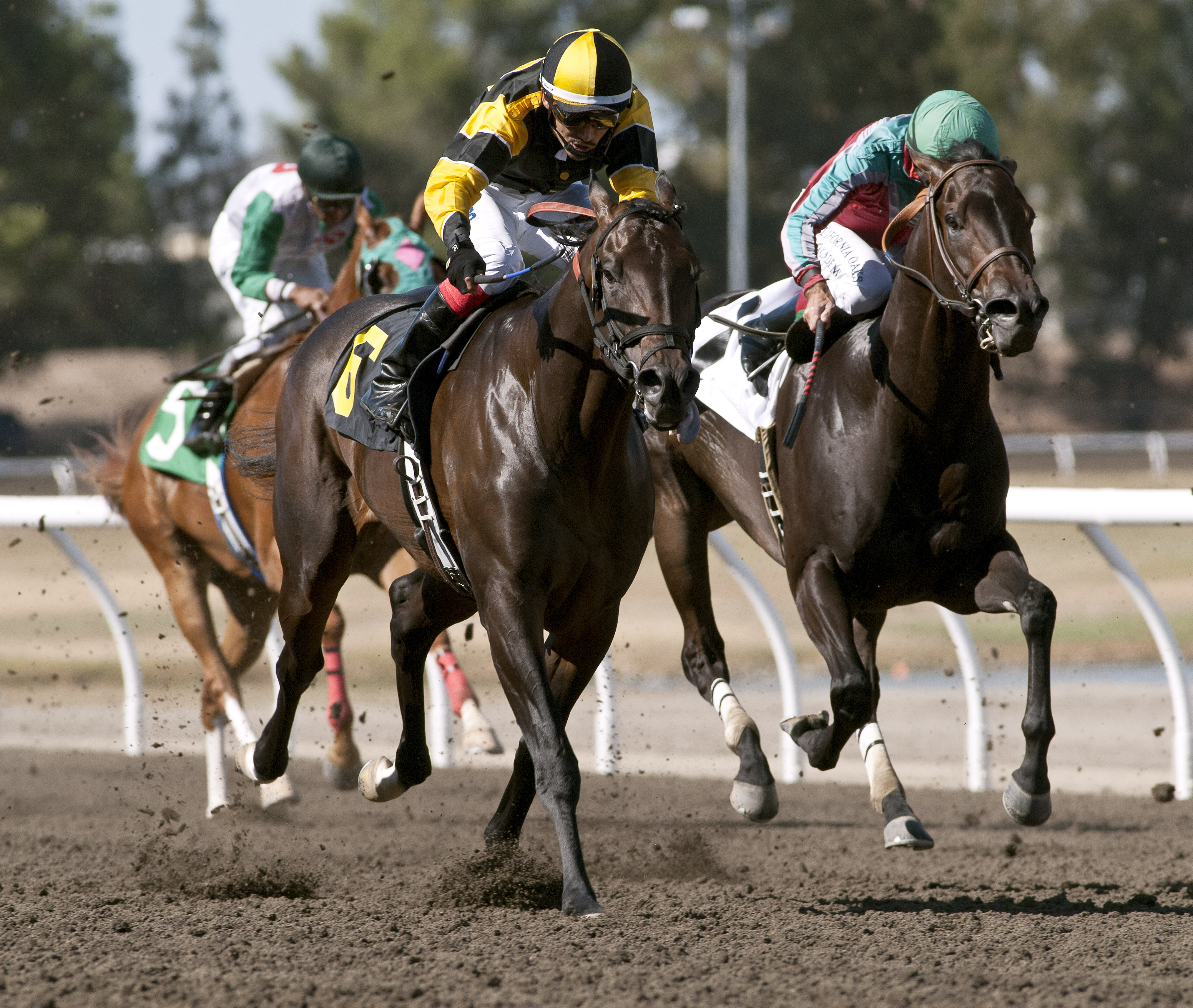 El Huerfano 7-18-2015