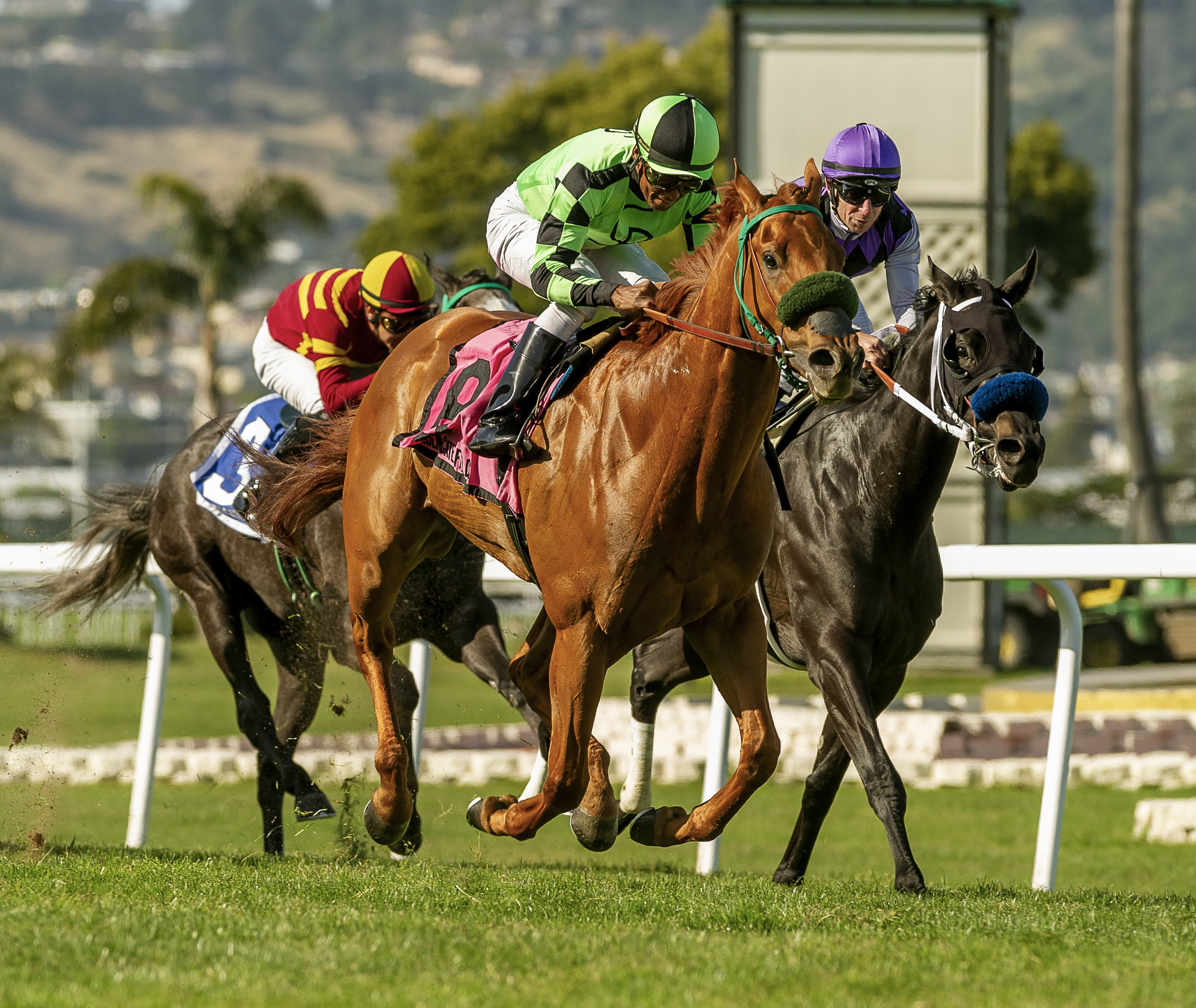 Ellamira wins Companile 5-1-2022