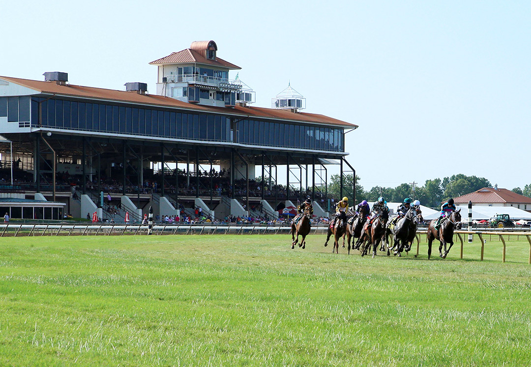 Ellis Park grandstand