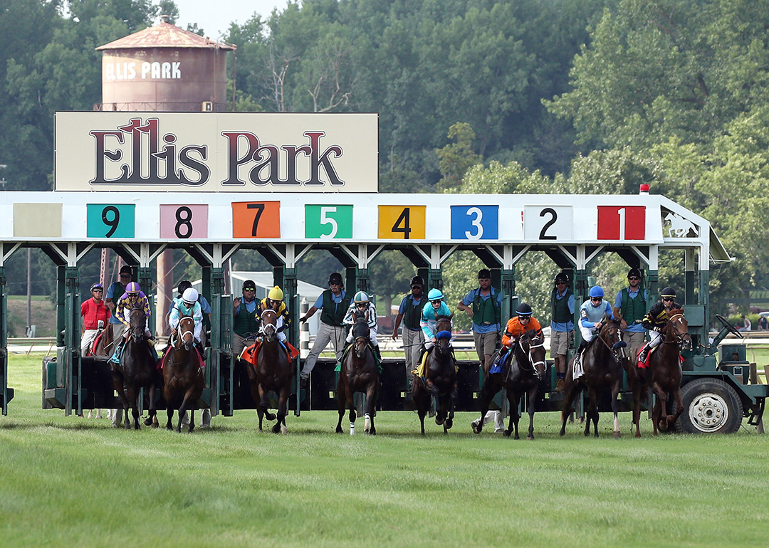 Ellis Park turf racing
