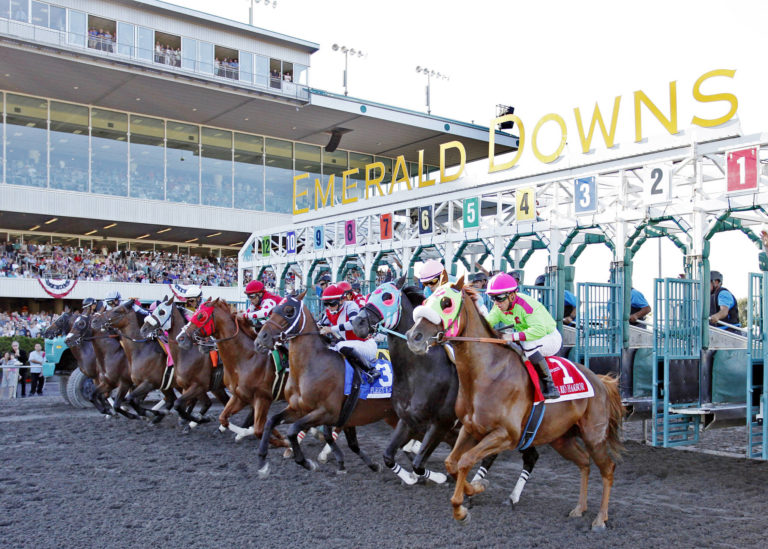 Emerald Downs starting gate