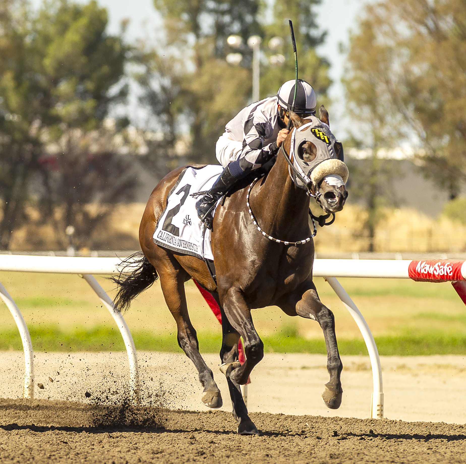 Empire House wins Governor's Cup 7-23-2022