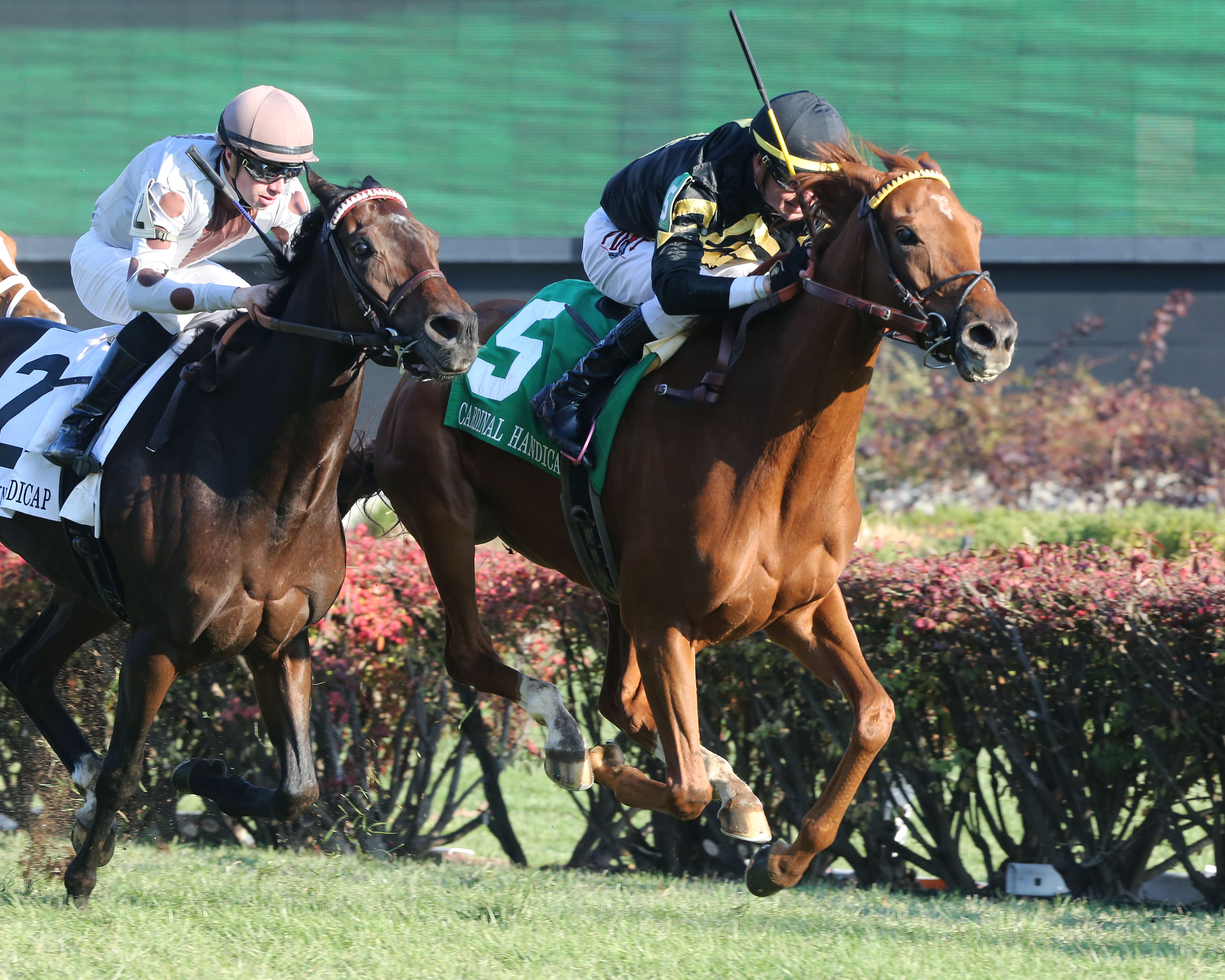 English Affair wins the 2018 Cardinal Handicap