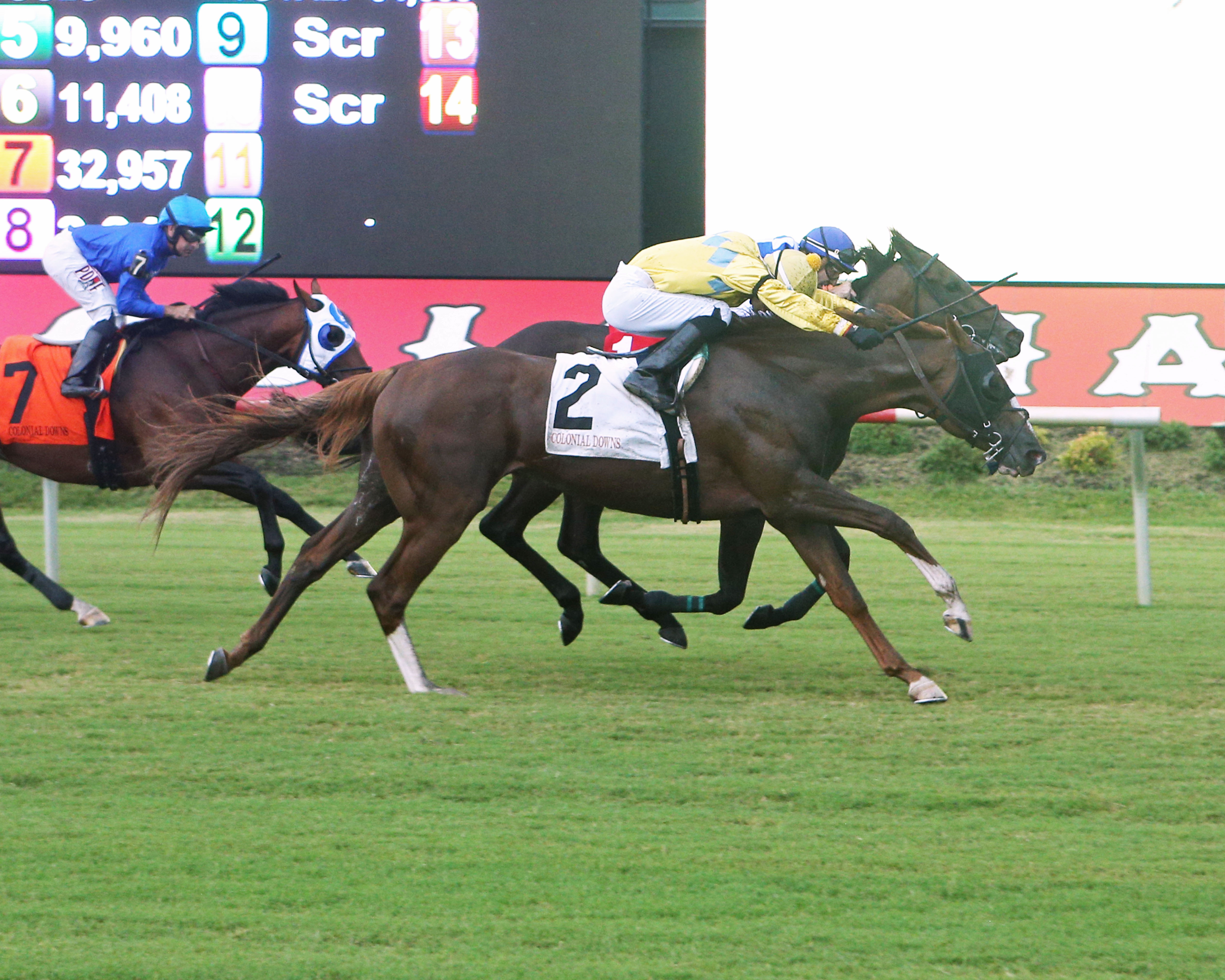 Eons/Buckland Stakes